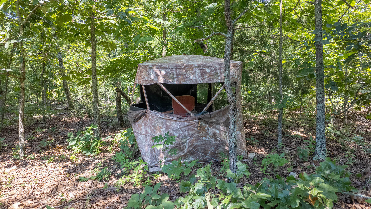 Photo 5 - Land for sale – Tract 1  Upper Janes Creek Road  Ravenden, AR