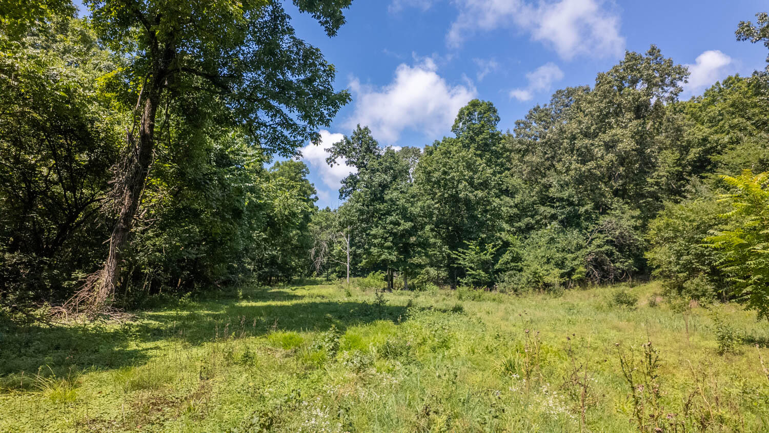Land for sale – Tract 1  Upper Janes Creek Road  Ravenden, AR