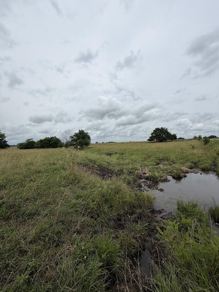 Photo 5 - Land for sale – Tract 6  State Route T   Bolivar, MO
