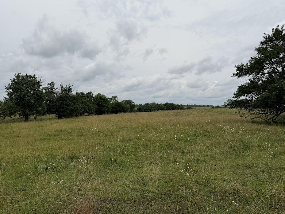 Photo 4 - Land for sale – Tract 6  State Route T   Bolivar, MO