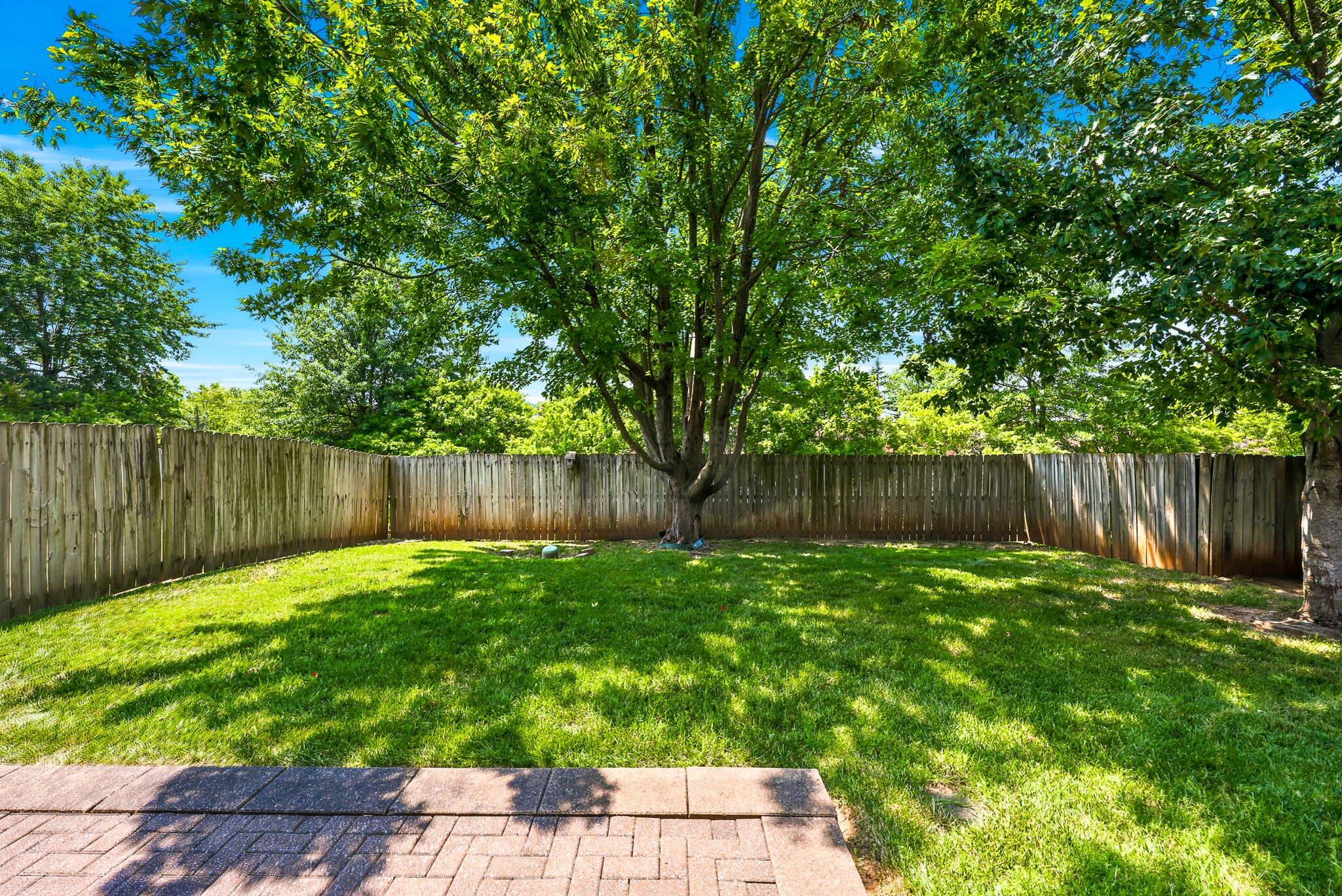 Photo 28 - Residential for sale – 3239 S Kickapoo Avenue  Springfield, MO