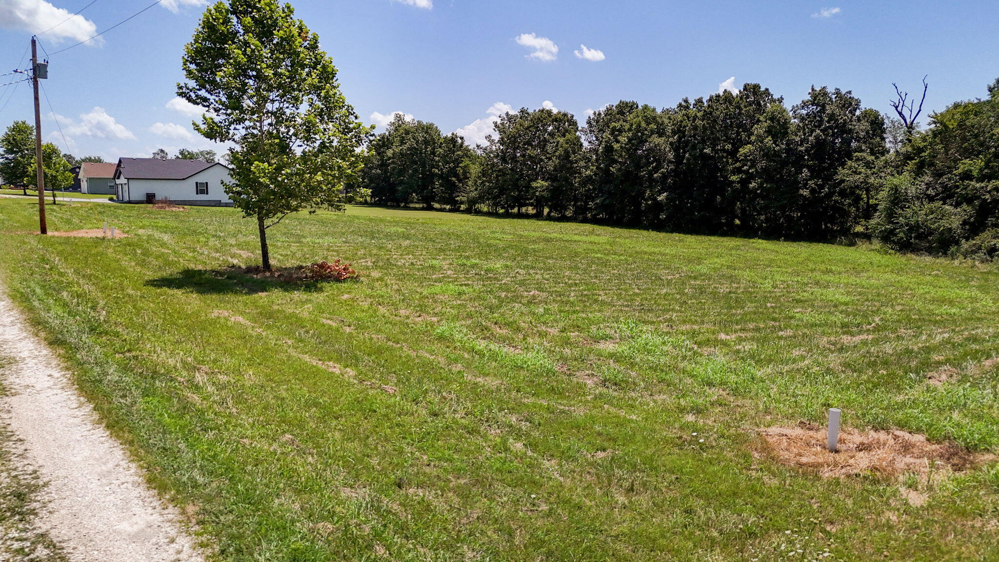 Photo 2 - Land for sale – 2490 E 549th Road  Buffalo, MO