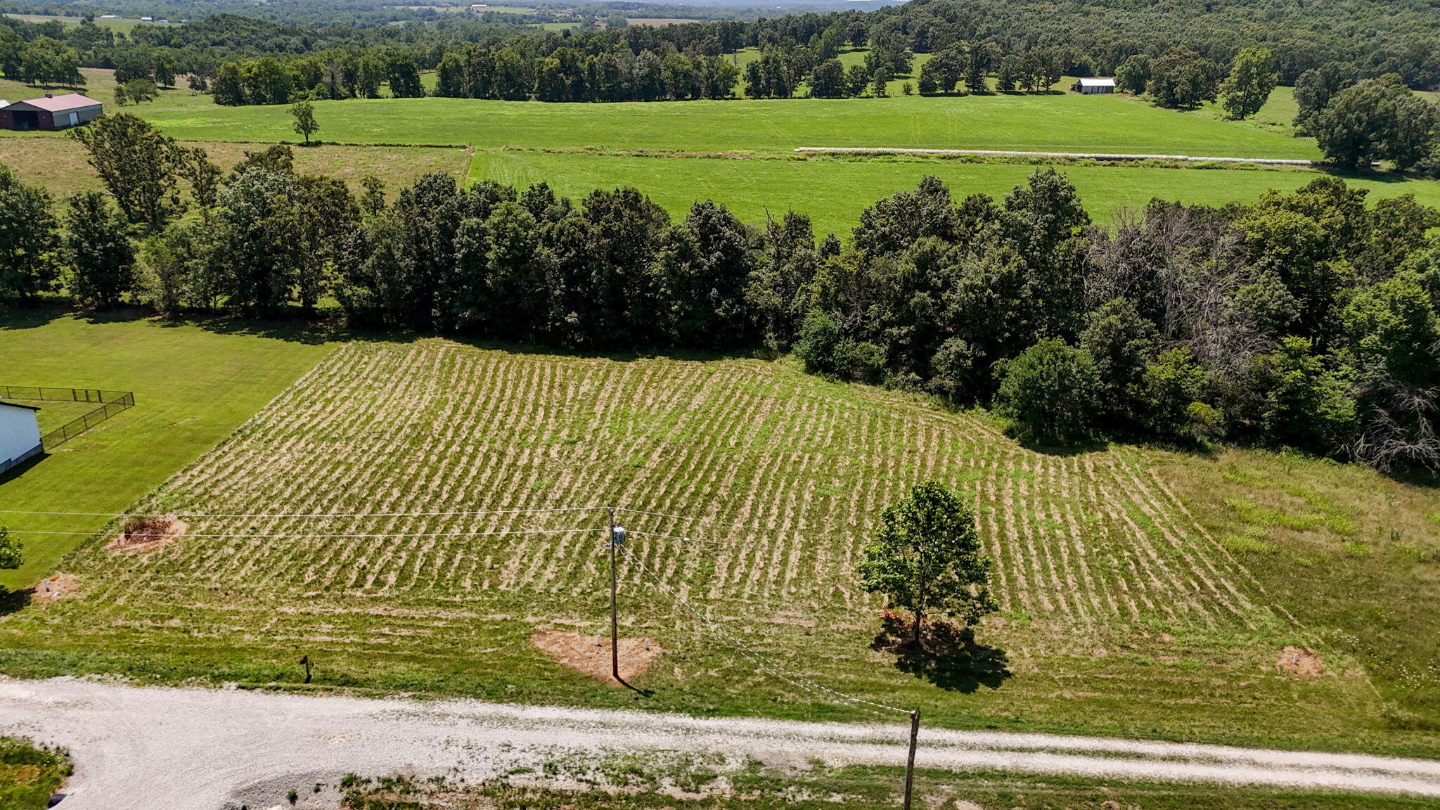 Photo 4 - Land for sale – 2492 E 549th Road  Buffalo, MO