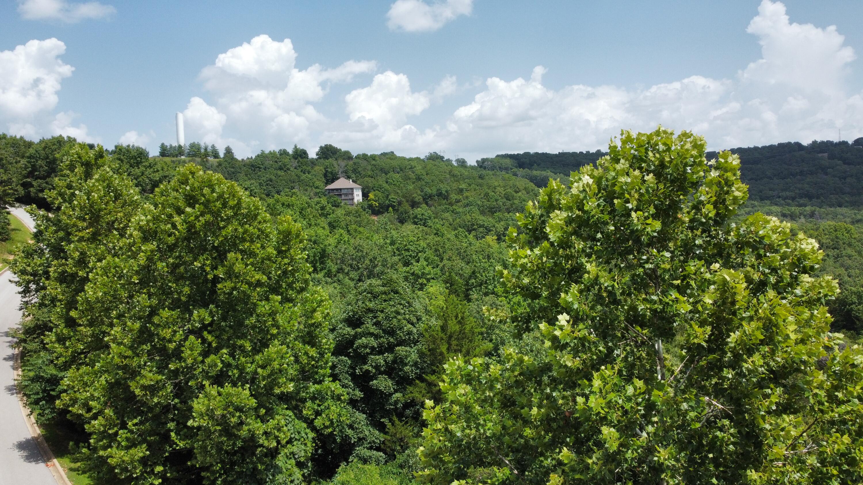 Photo 12 - Land for sale – 000  Crescent Lot 198 Drive  Hollister, MO