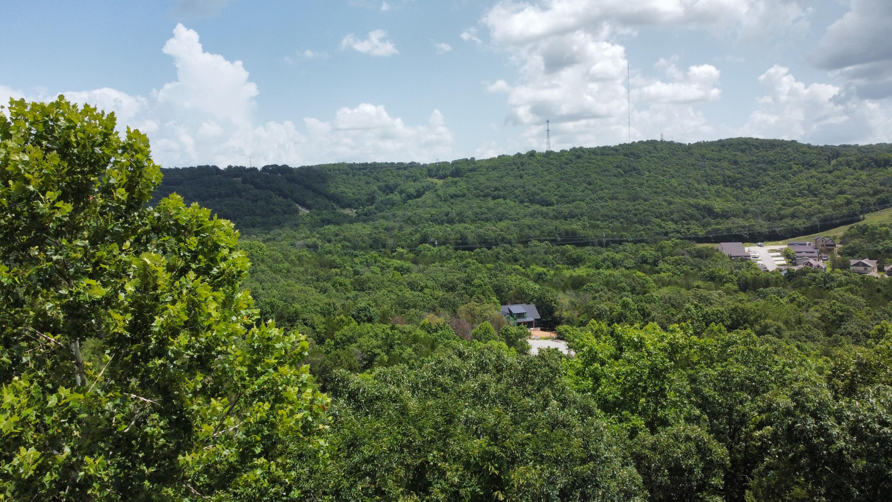Photo 13 - Land for sale – 000  Crescent Lot 198 Drive  Hollister, MO