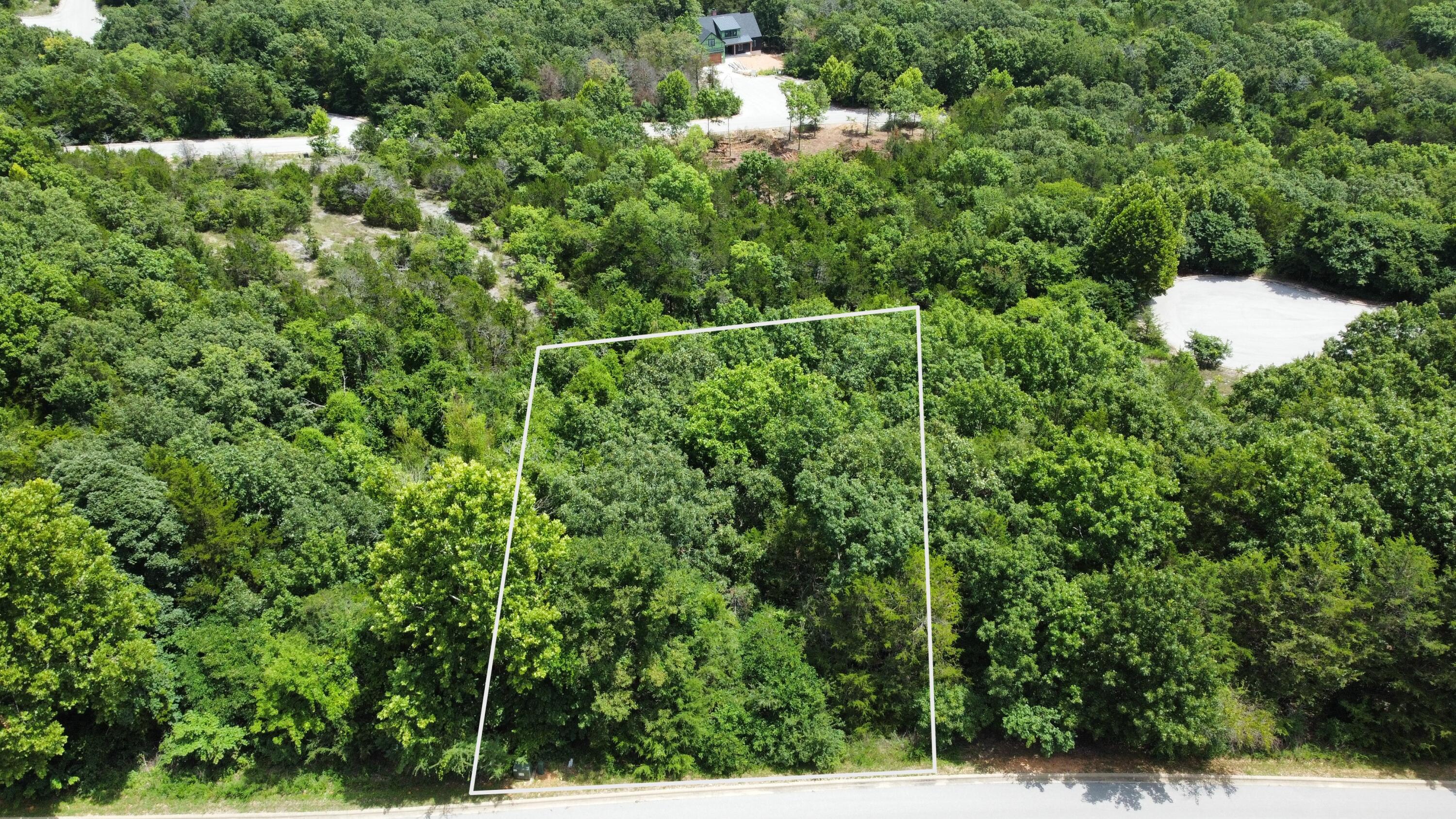 Photo 3 - Land for sale – 000  Crescent Lot 198 Drive  Hollister, MO
