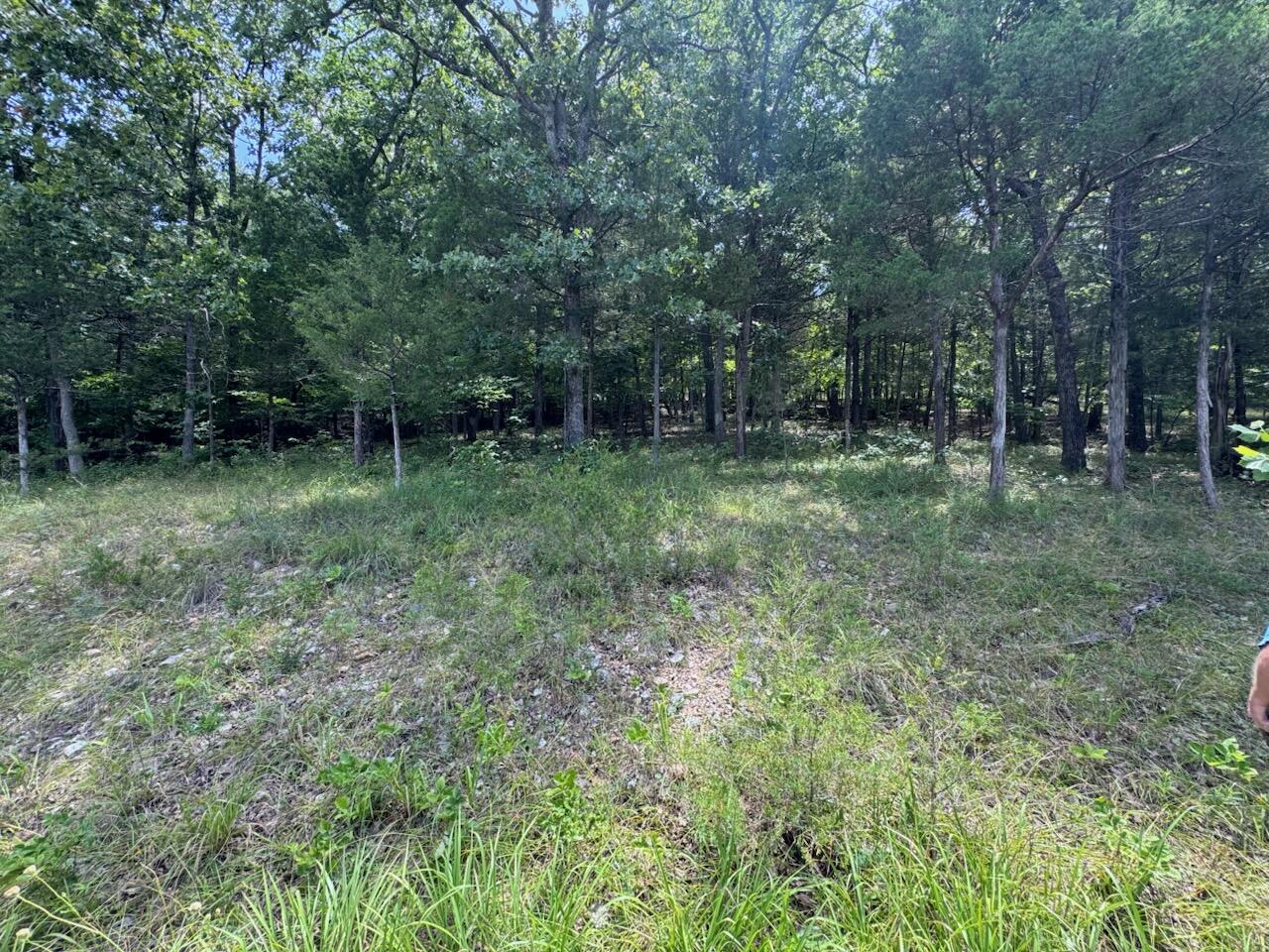 Photo 4 - Land for sale – 24  Appaloosa Trail (Lot 24)   Saddlebrooke, MO