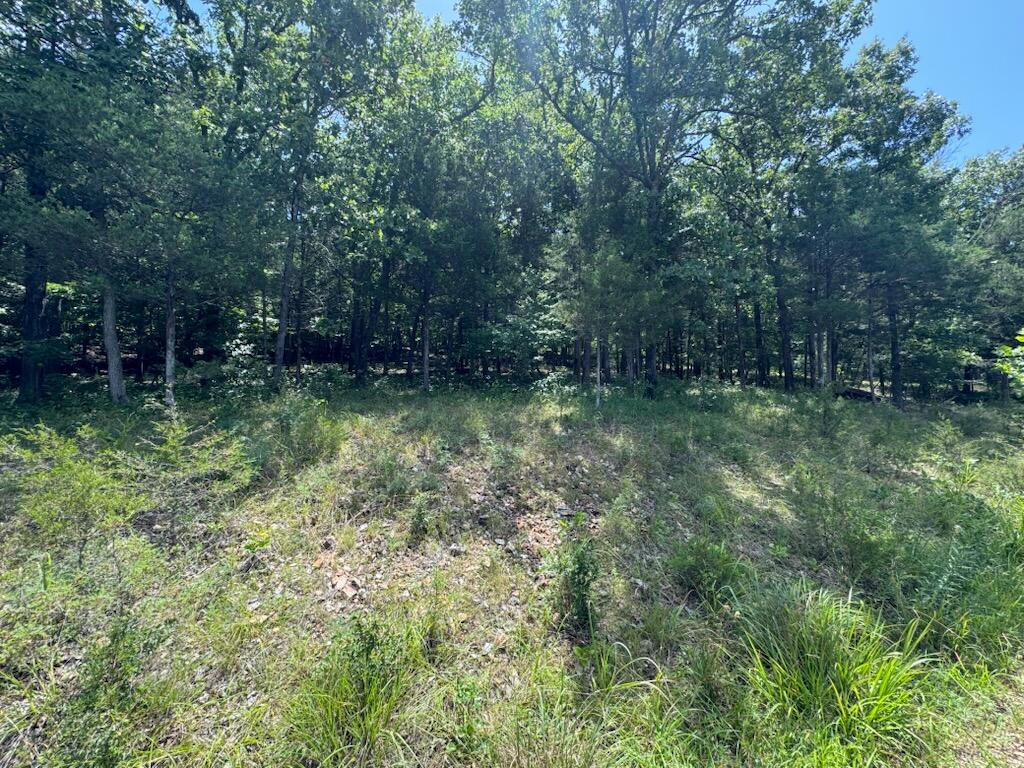Photo 5 - Land for sale – 24  Appaloosa Trail (Lot 24)   Saddlebrooke, MO