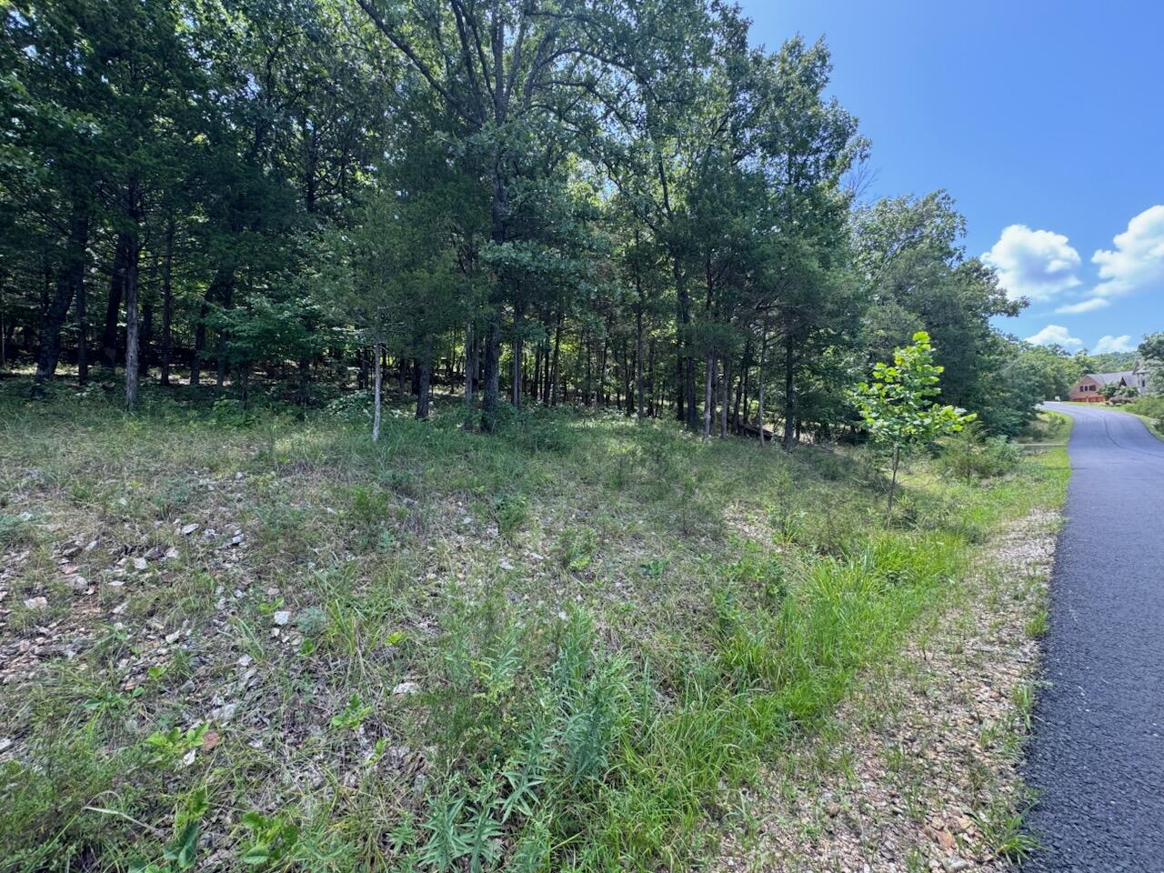 Photo 6 - Land for sale – 24  Appaloosa Trail (Lot 24)   Saddlebrooke, MO