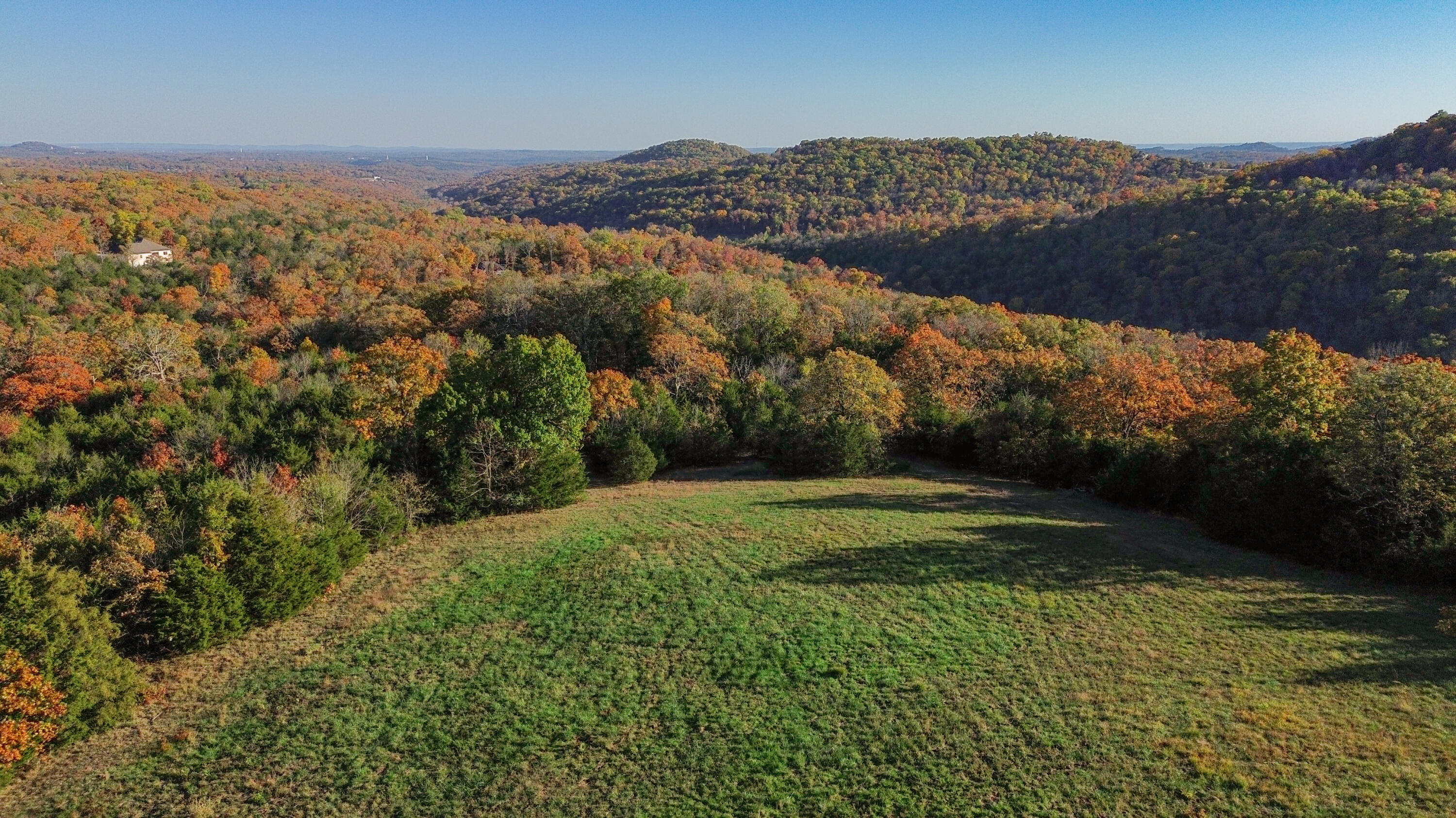 Photo 5 - Land for sale – 3994  Us Highway 160   Walnut Shade, MO
