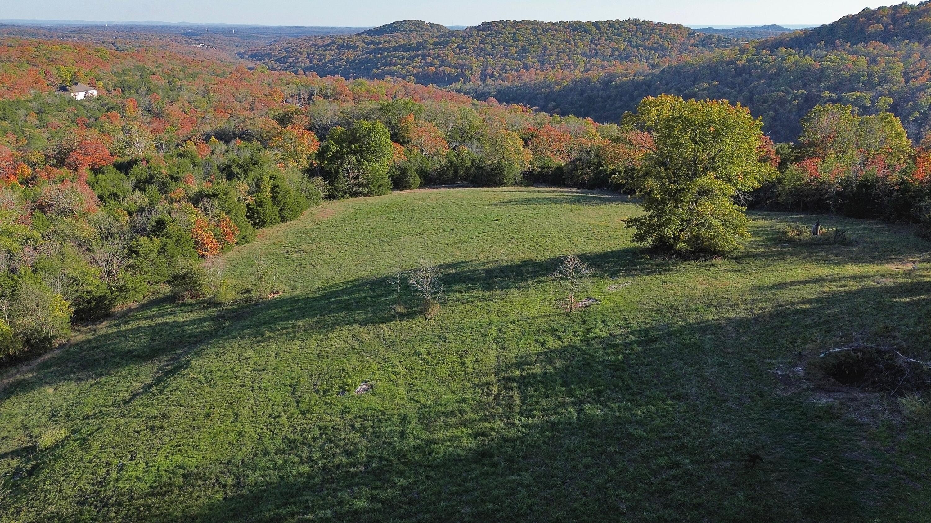 Photo 4 - Land for sale – 3994  Us Highway 160   Walnut Shade, MO
