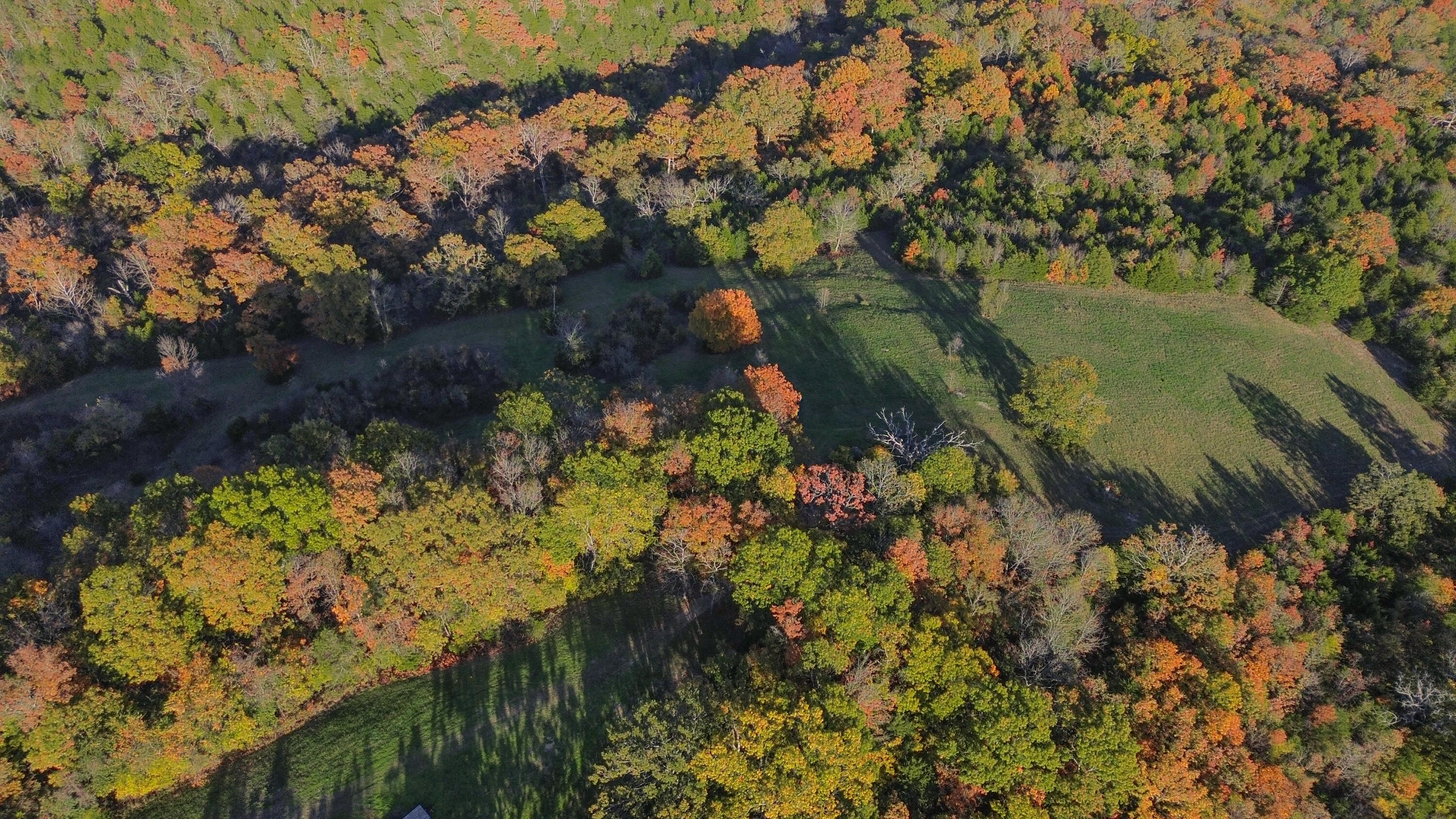 Photo 3 - Land for sale – 3994  Us Highway 160   Walnut Shade, MO