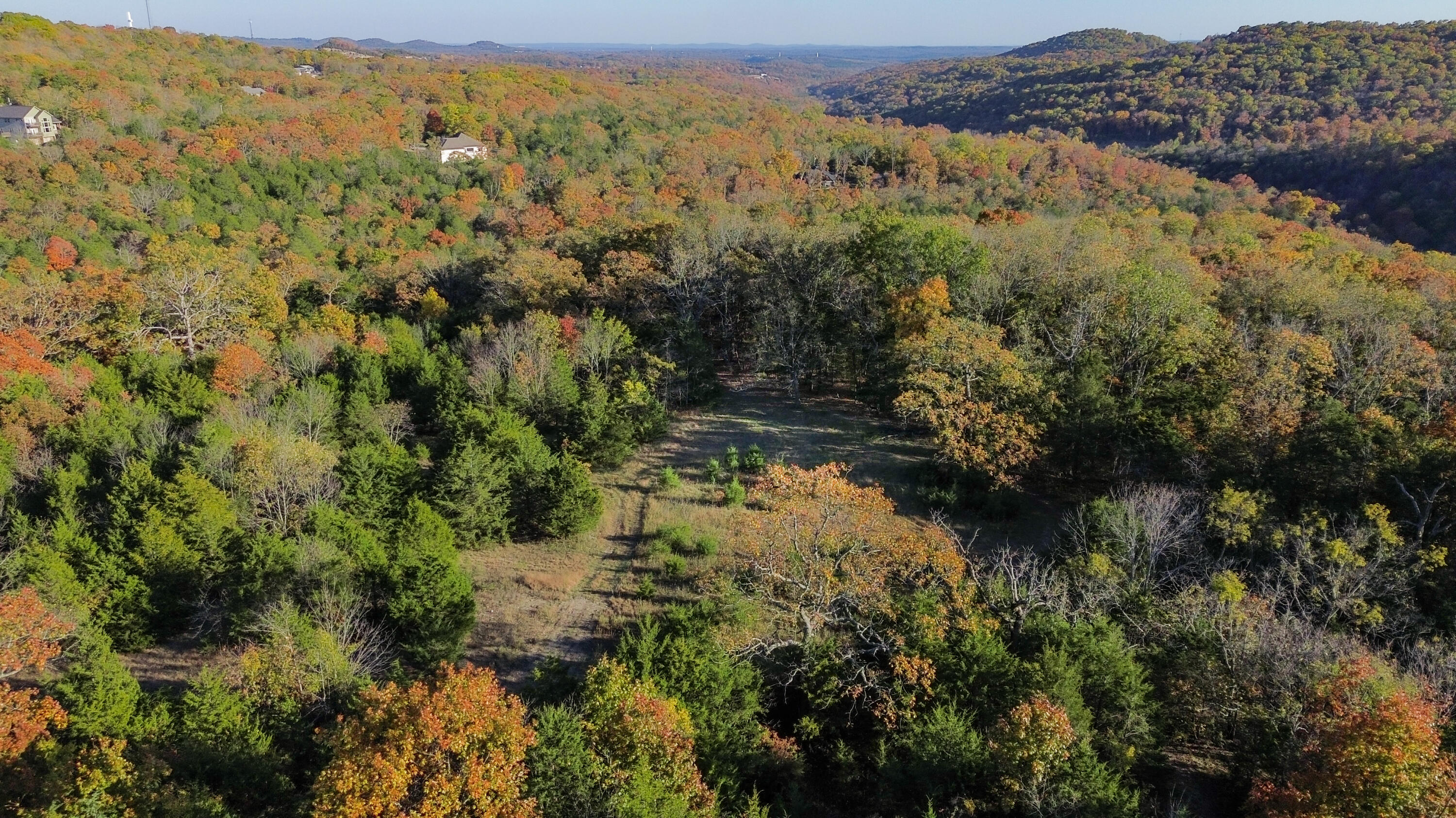 Photo 7 - Land for sale – 3994  Us Highway 160   Walnut Shade, MO