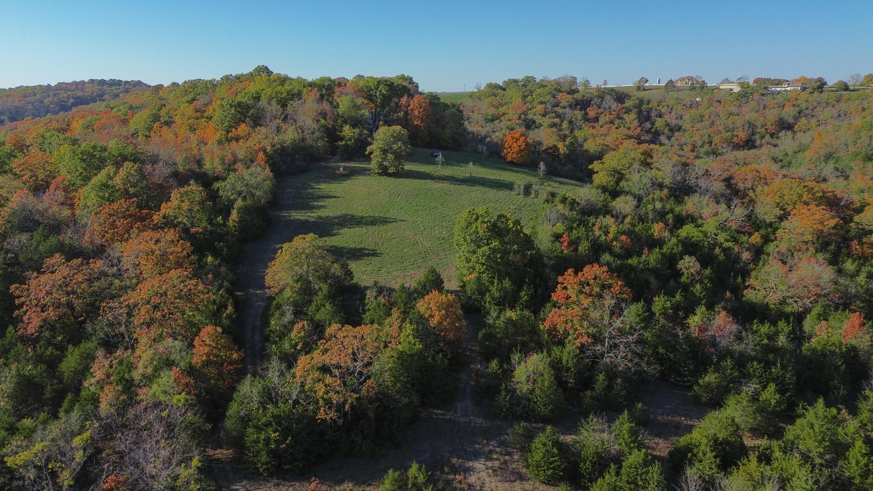 Photo 2 - Land for sale – 3994  Us Highway 160   Walnut Shade, MO