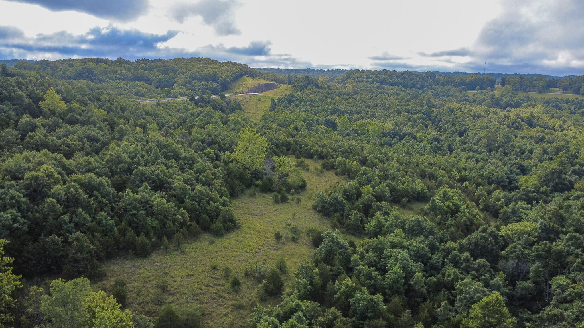 Land for sale – 000  Highway 5   Squires, MO