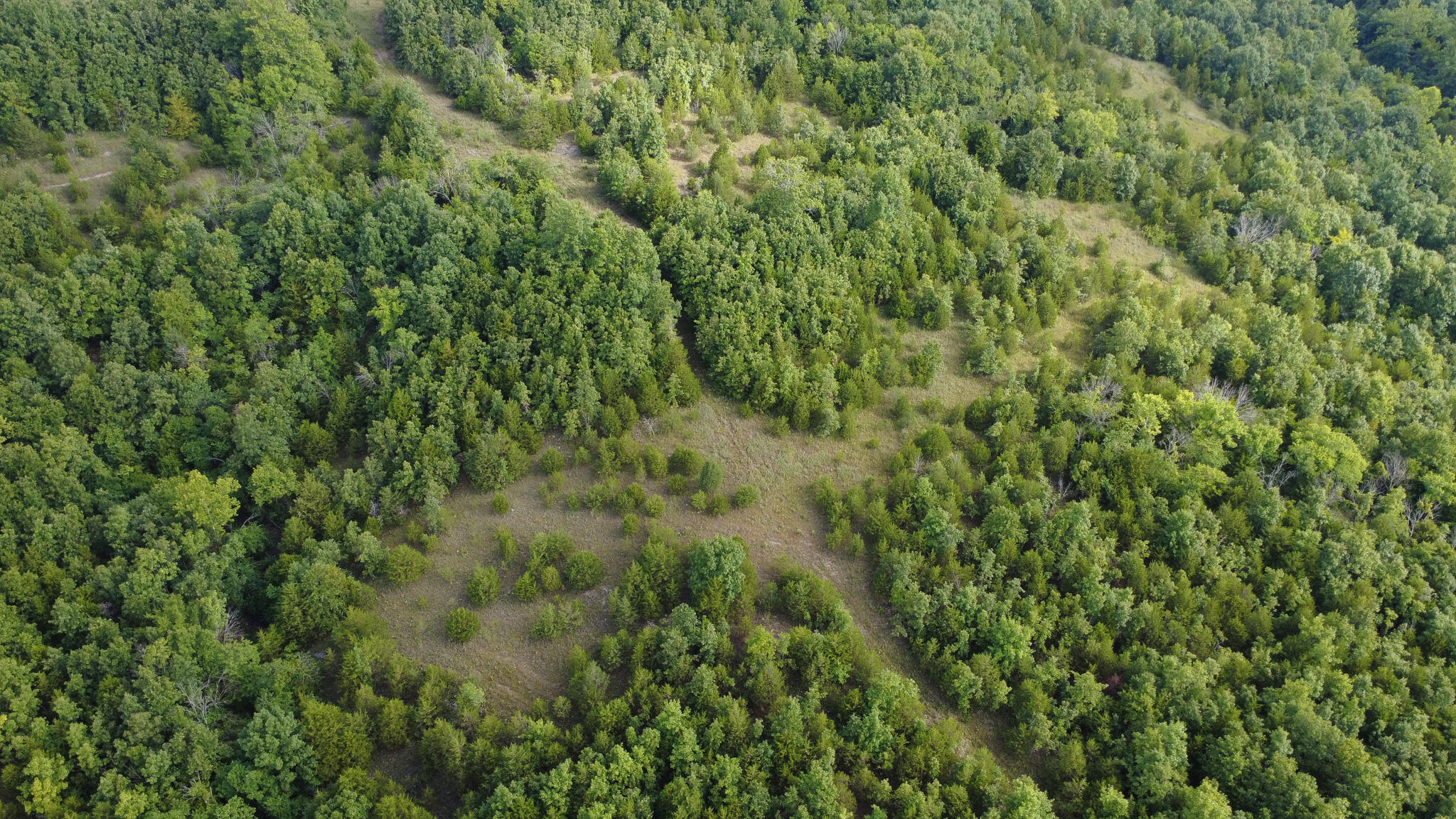 Photo 5 - Land for sale – 000  Highway 5   Squires, MO