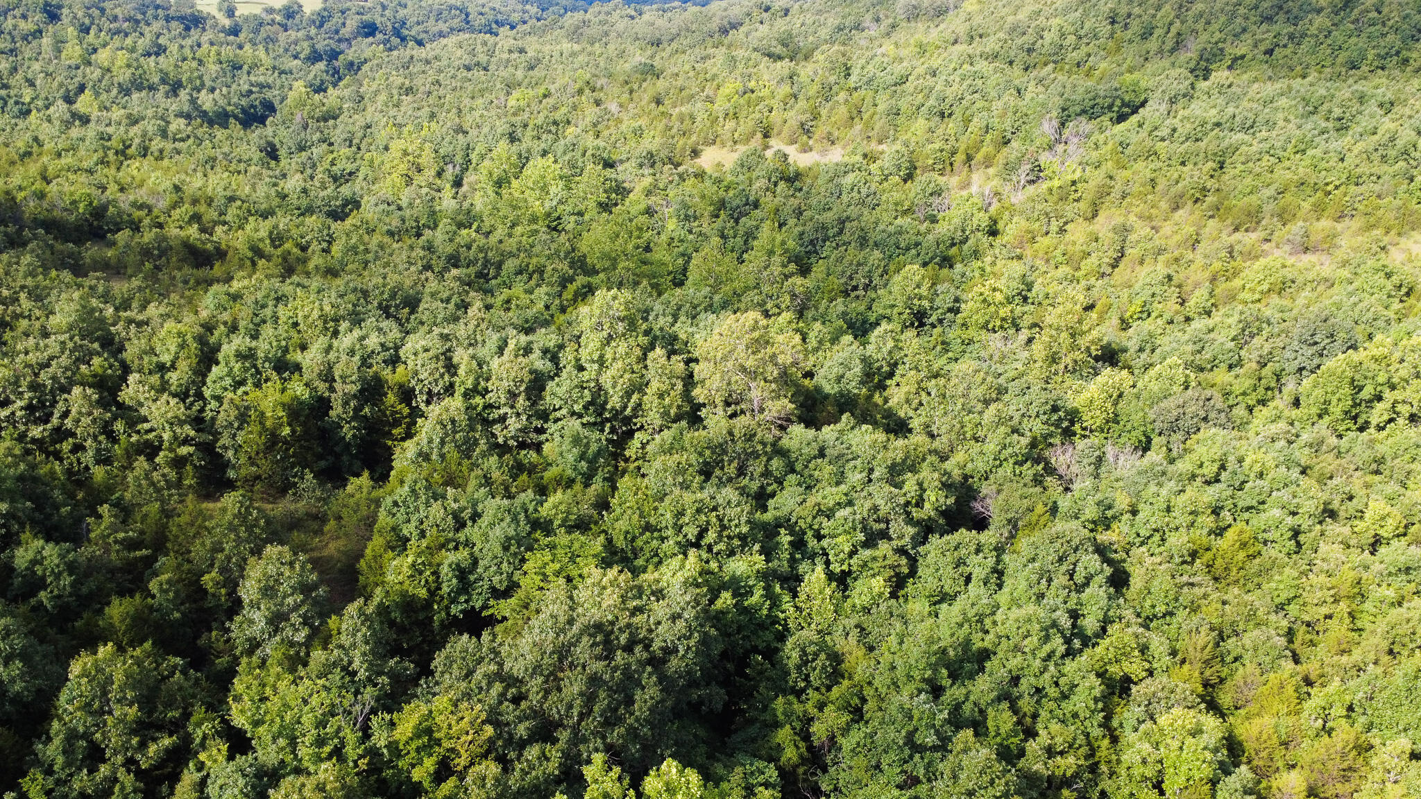 Photo 17 - Land for sale – 000  Highway 5   Squires, MO