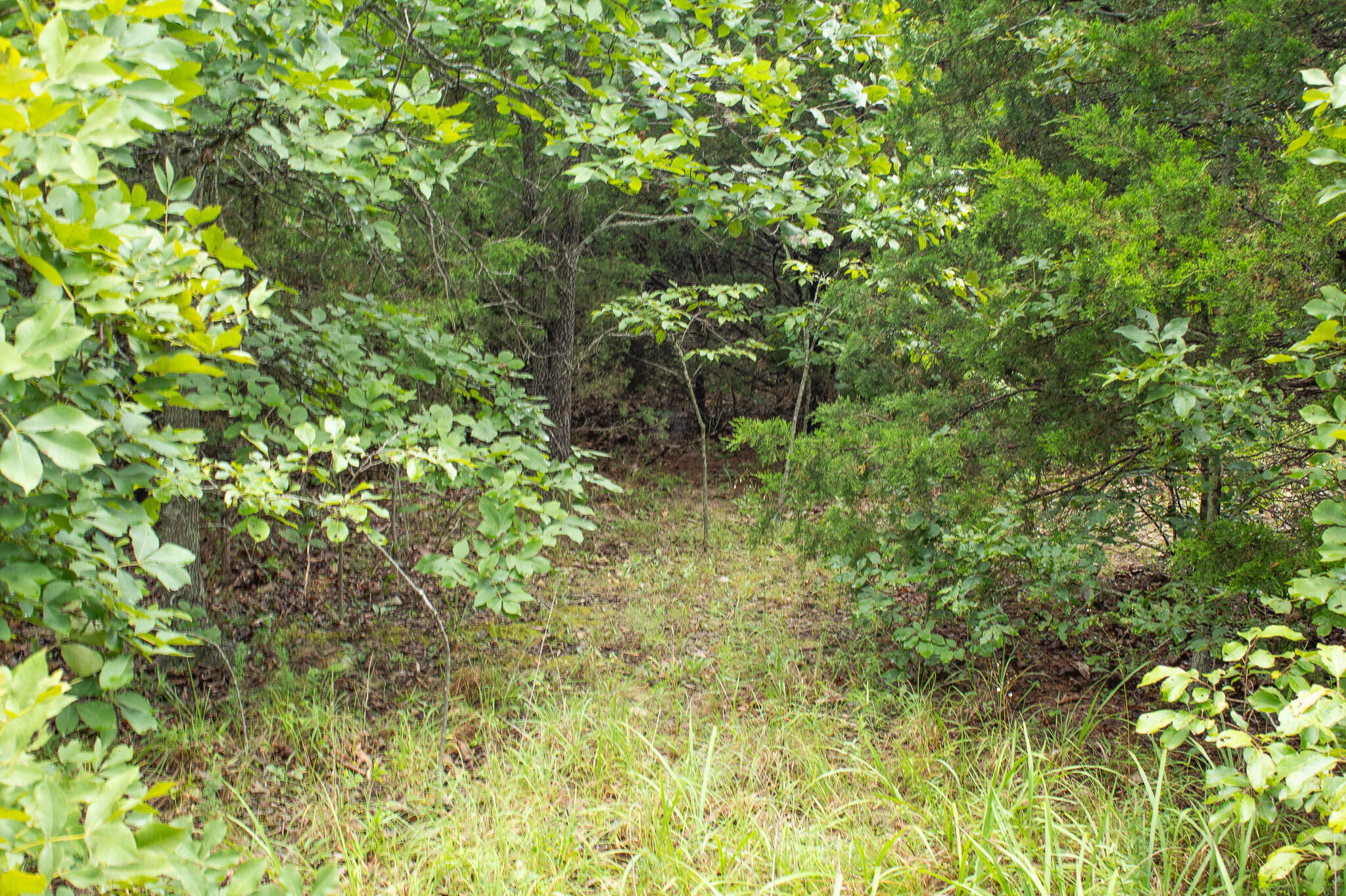 Photo 48 - Land for sale – 000  Highway 5   Squires, MO