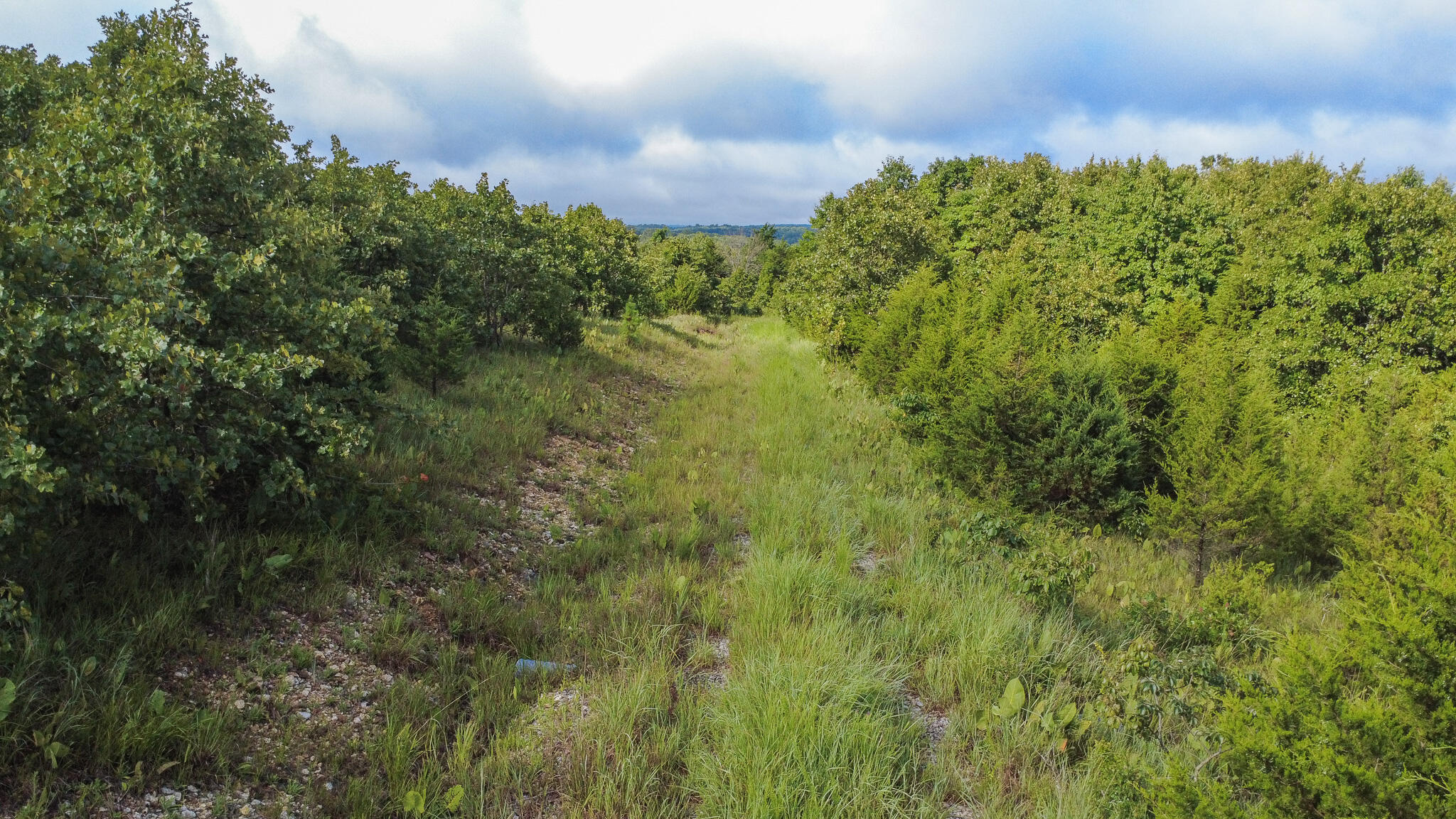 Photo 16 - Land for sale – 000  Highway 5   Squires, MO