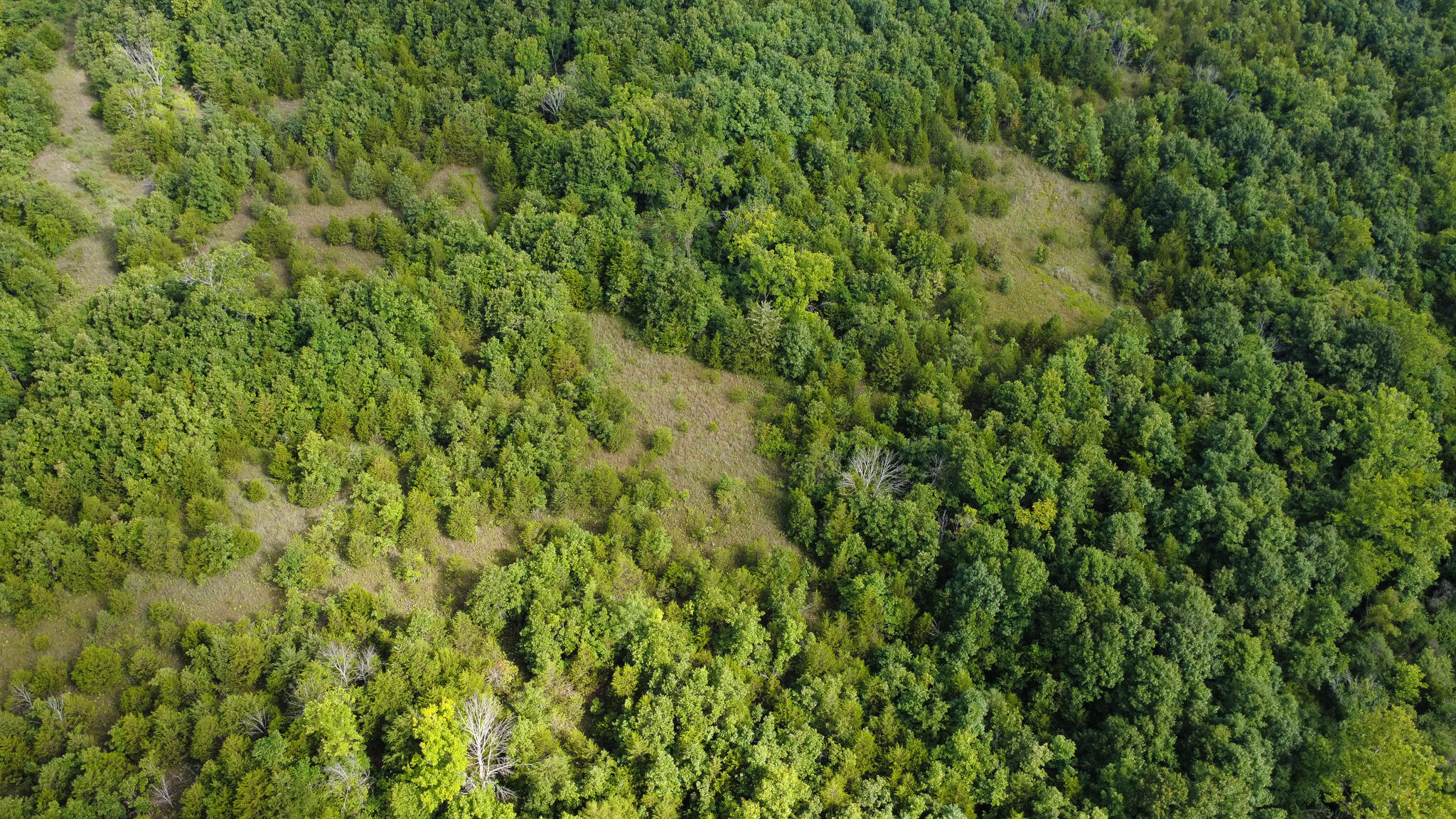 Photo 7 - Land for sale – 000  Highway 5   Squires, MO