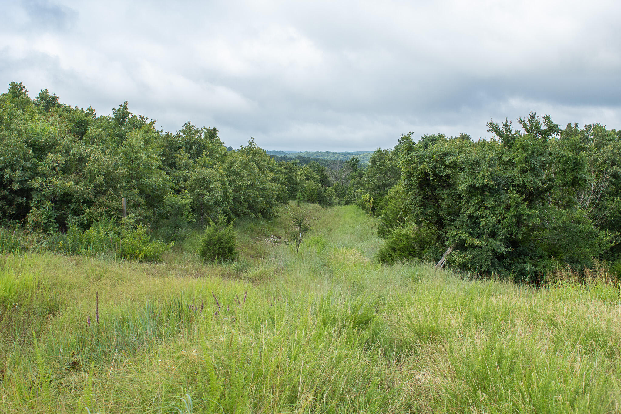 Photo 19 - Land for sale – 000  Highway 5   Squires, MO