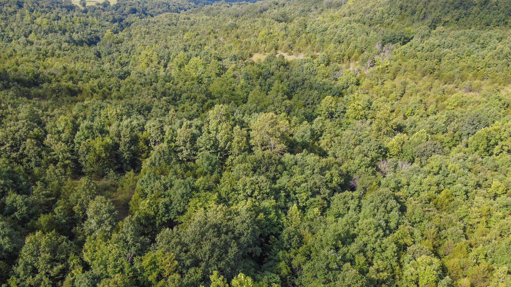 Photo 18 - Land for sale – 000  Highway 5   Squires, MO