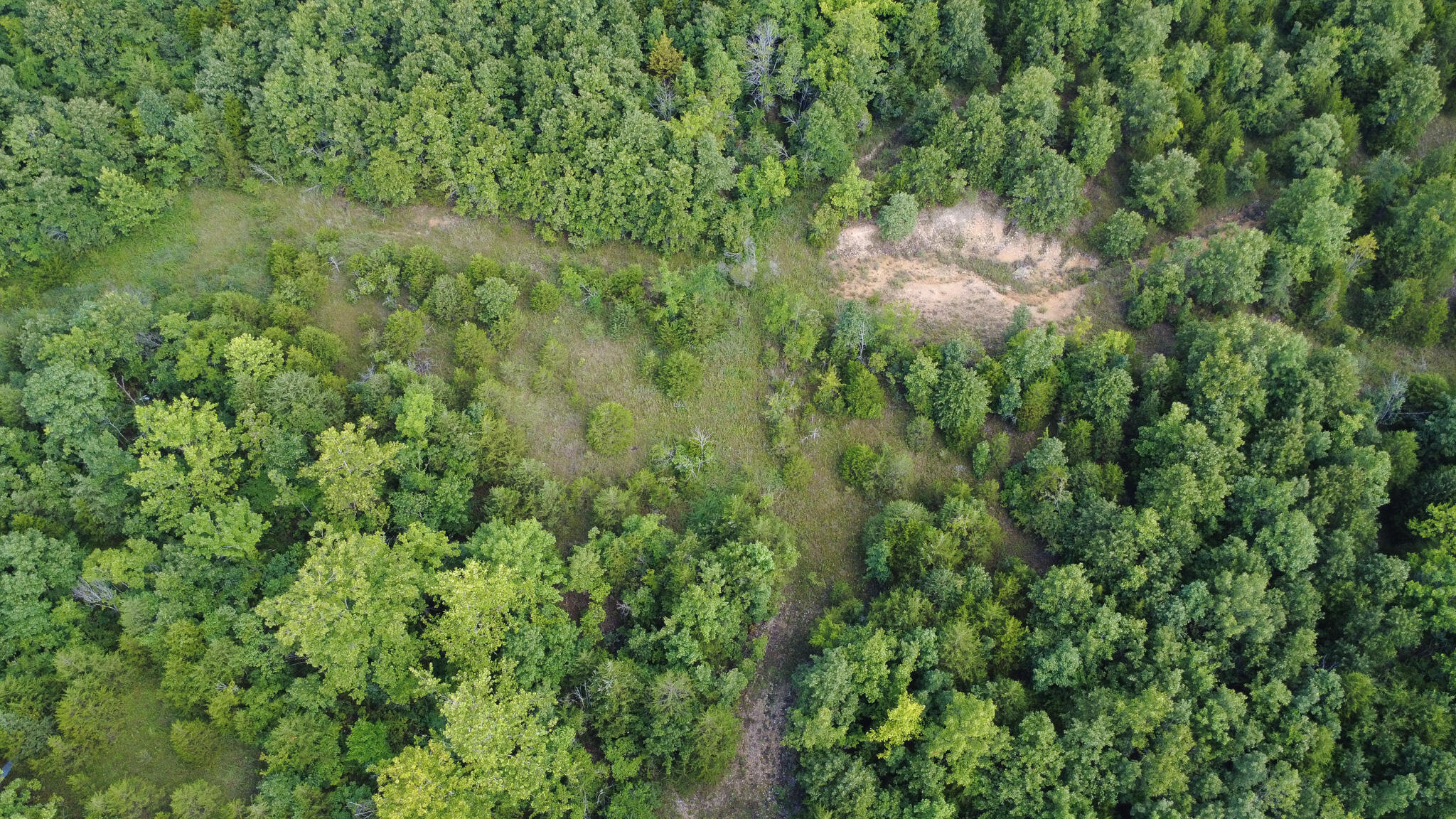 Photo 9 - Land for sale – 000  Highway 5   Squires, MO