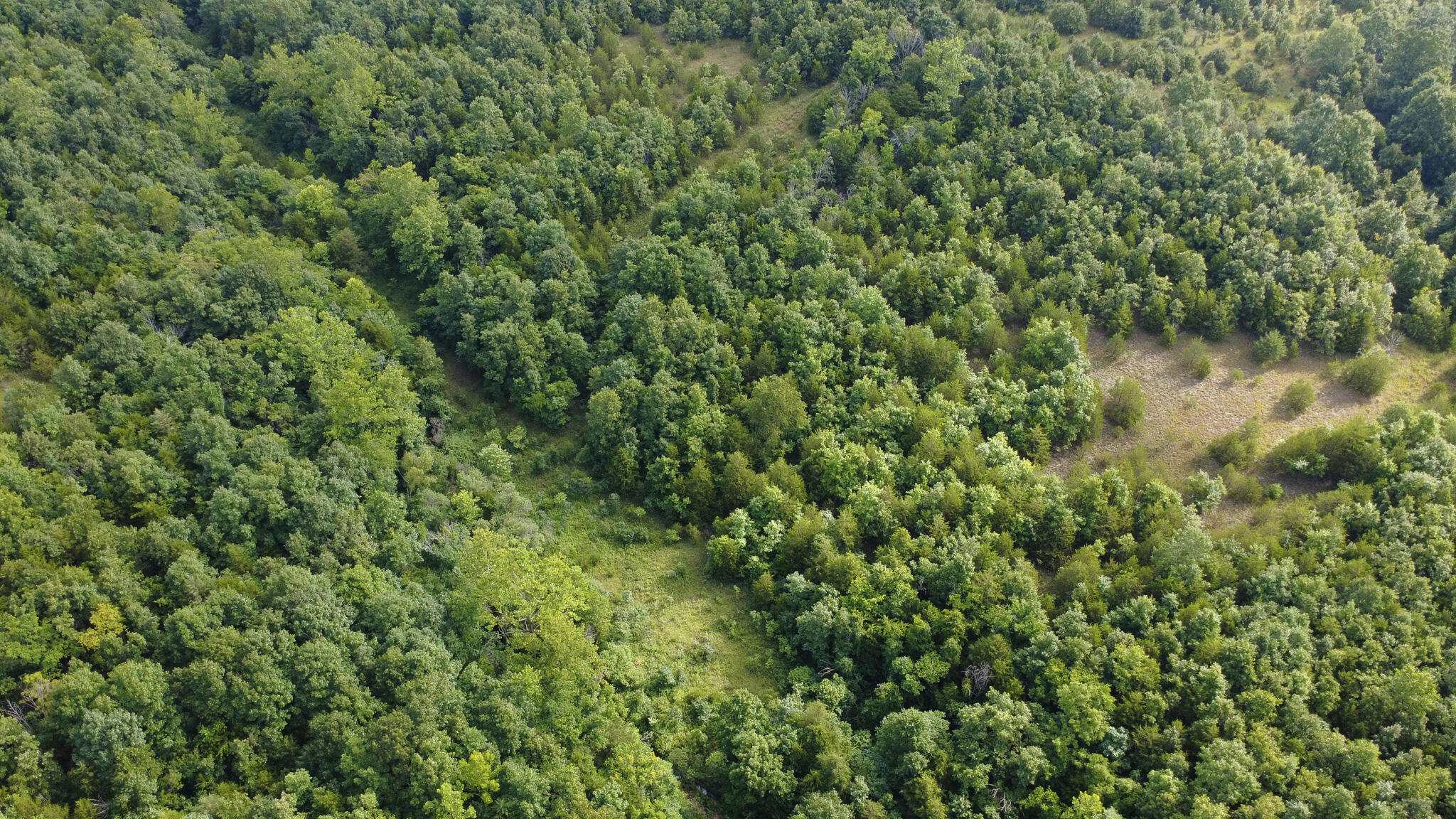 Photo 6 - Land for sale – 000  Highway 5   Squires, MO