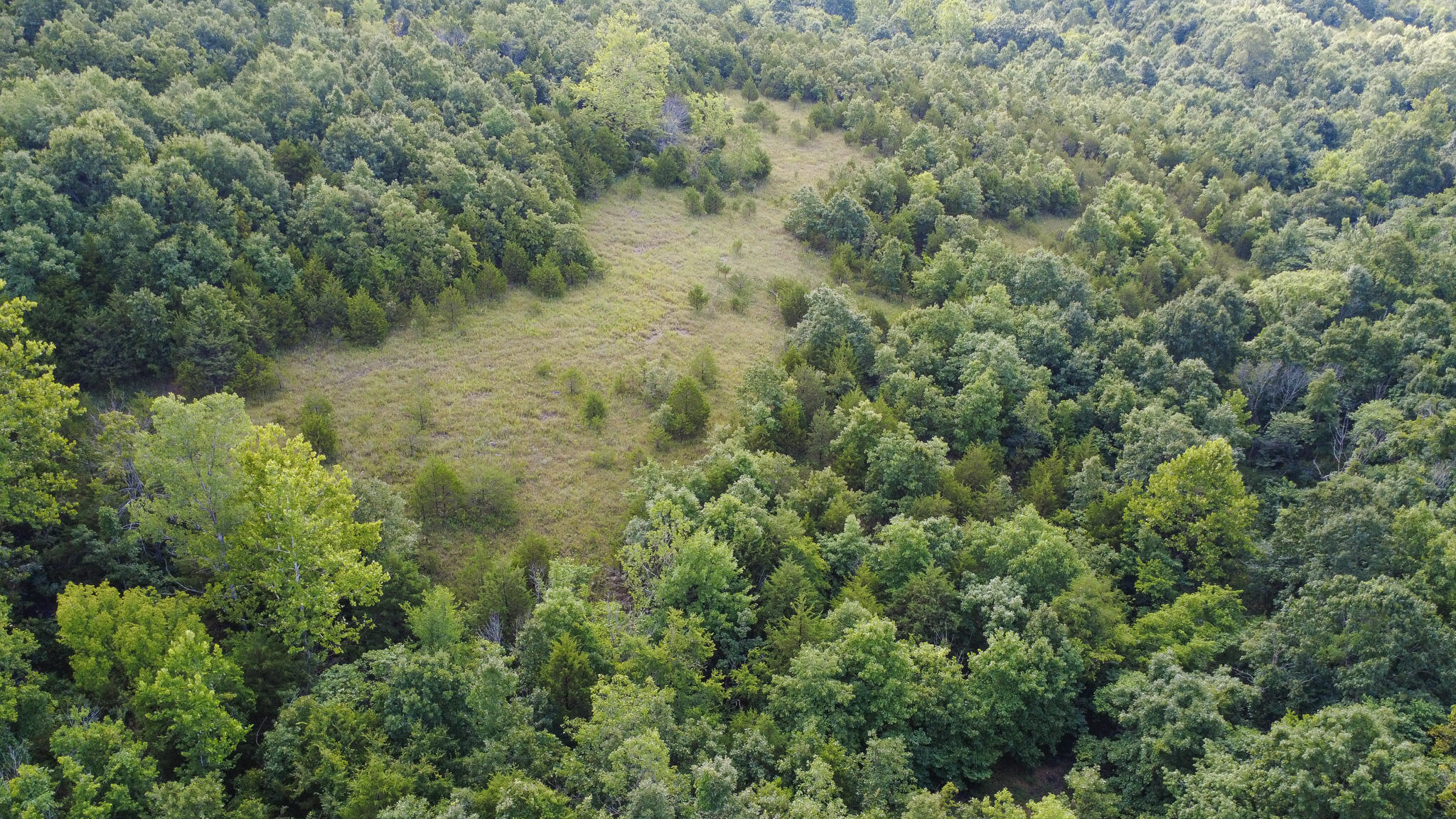 Photo 10 - Land for sale – 000  Highway 5   Squires, MO