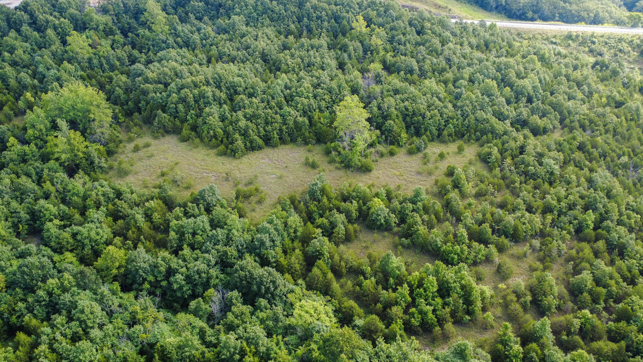 Photo 8 - Land for sale – 000  Highway 5   Squires, MO