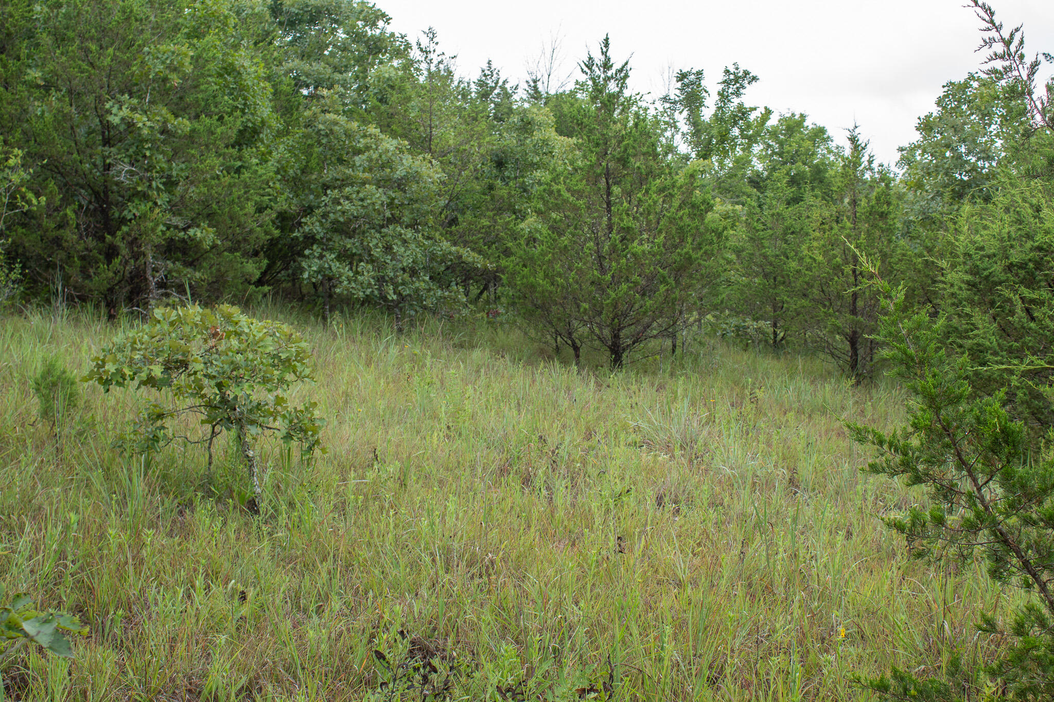 Photo 40 - Land for sale – 000  Highway 5   Squires, MO