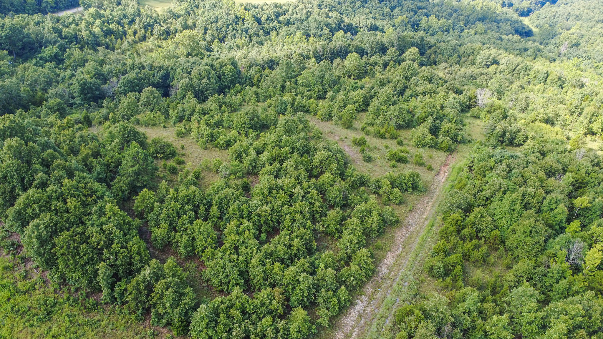 Photo 15 - Land for sale – 000  Highway 5   Squires, MO