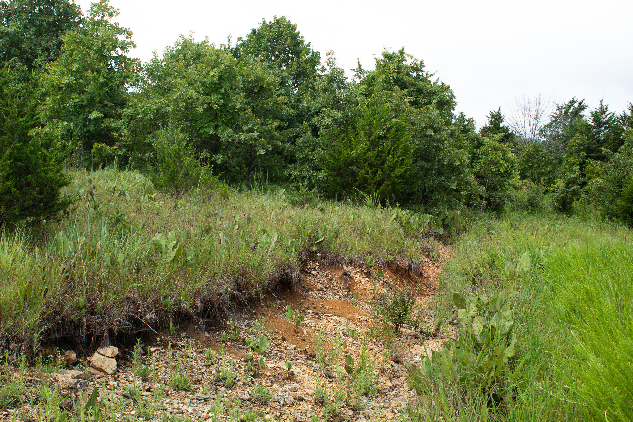Photo 21 - Land for sale – 000  Highway 5   Squires, MO