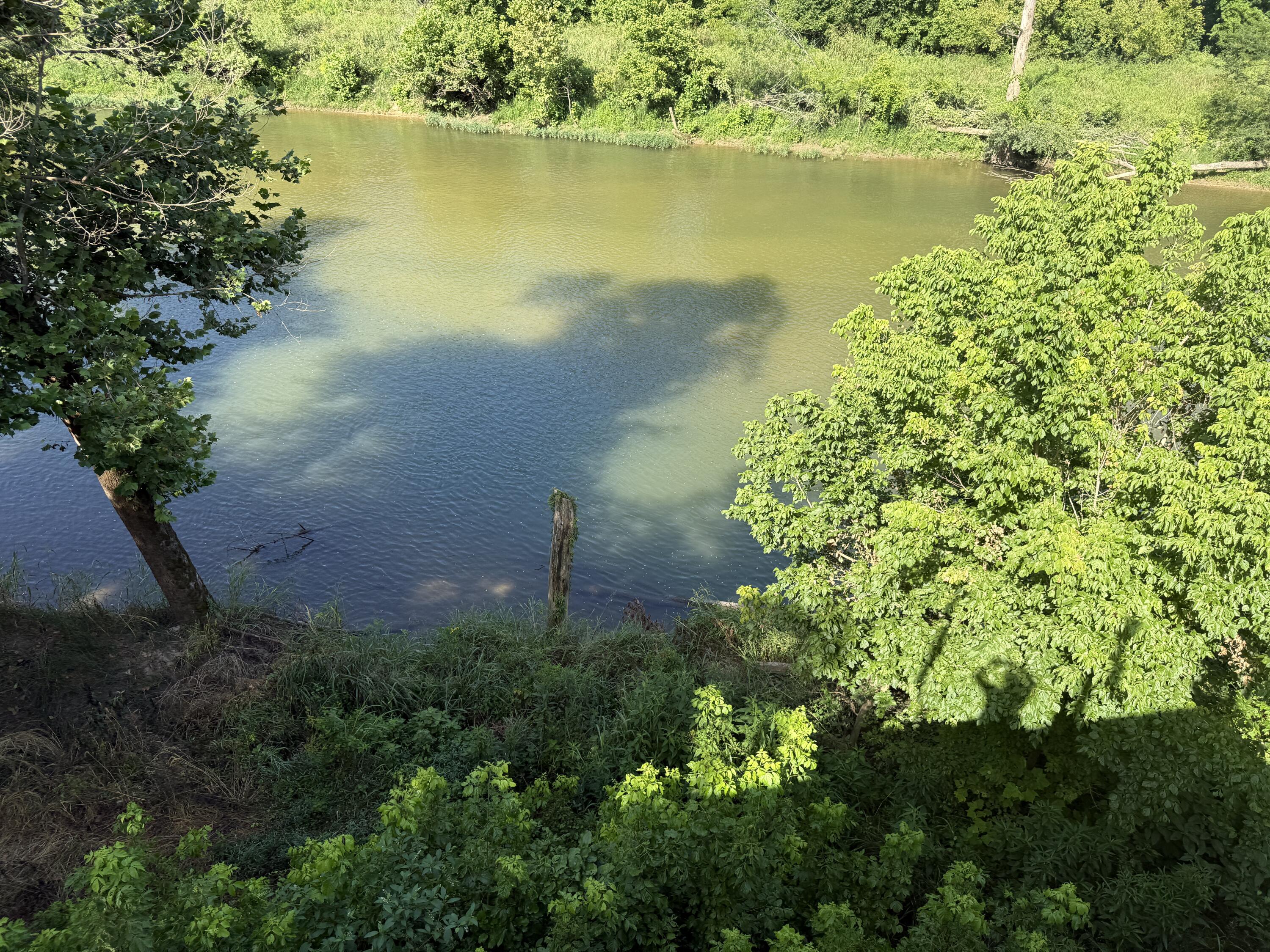 Photo 6 - Land for sale – 000  County Road 176   Dora, MO