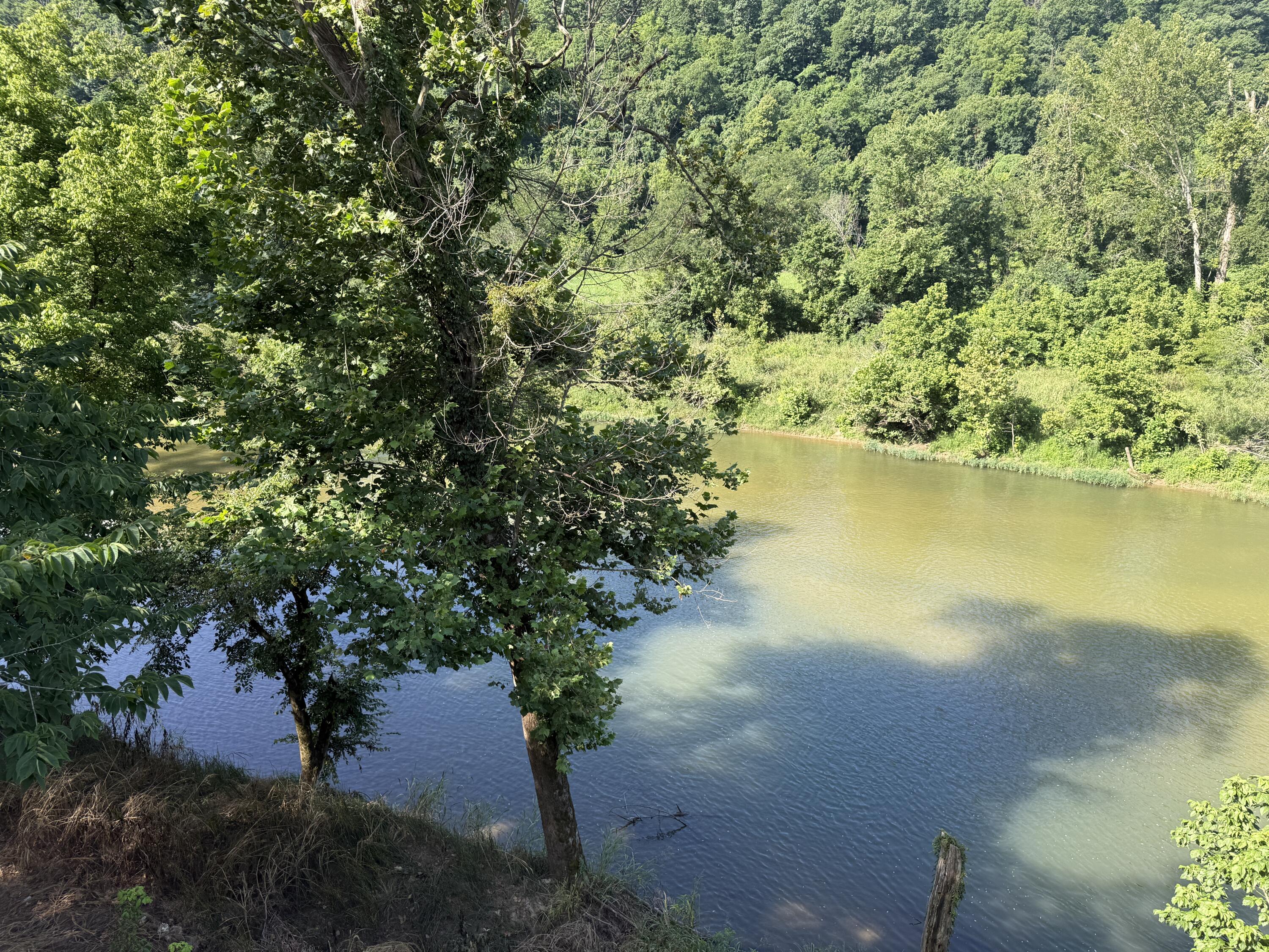 Photo 5 - Land for sale – 000  County Road 176   Dora, MO