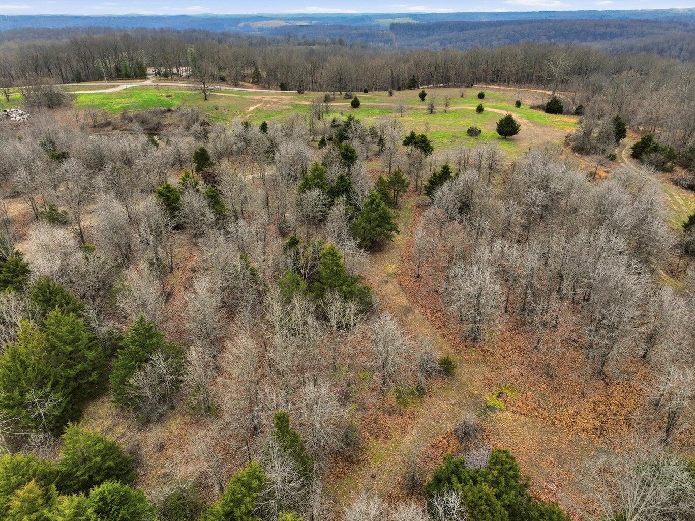 Photo 19 - Land for sale – 000  Highway U   Willow Springs, MO
