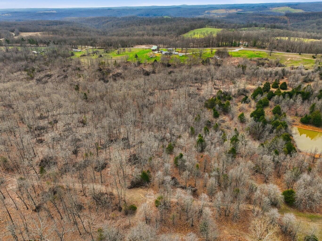 Photo 17 - Land for sale – 000  Highway U   Willow Springs, MO
