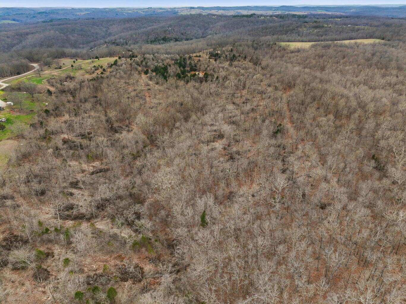 Photo 23 - Land for sale – 000  Highway U   Willow Springs, MO