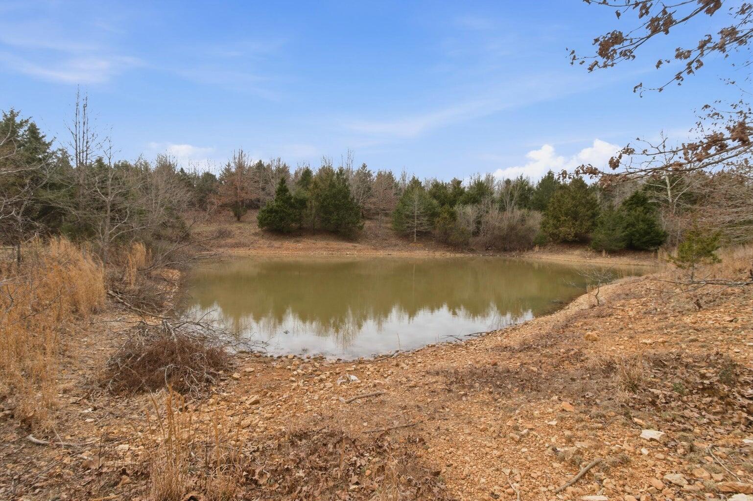 Photo 27 - Land for sale – 000  Highway U   Willow Springs, MO