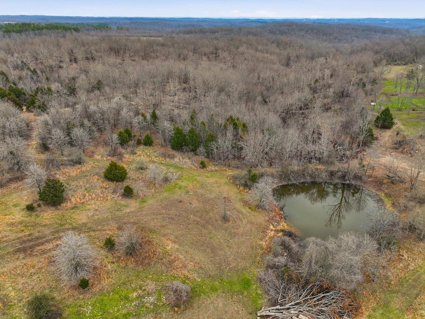 Photo 4 - Land for sale – 000  Highway U   Willow Springs, MO