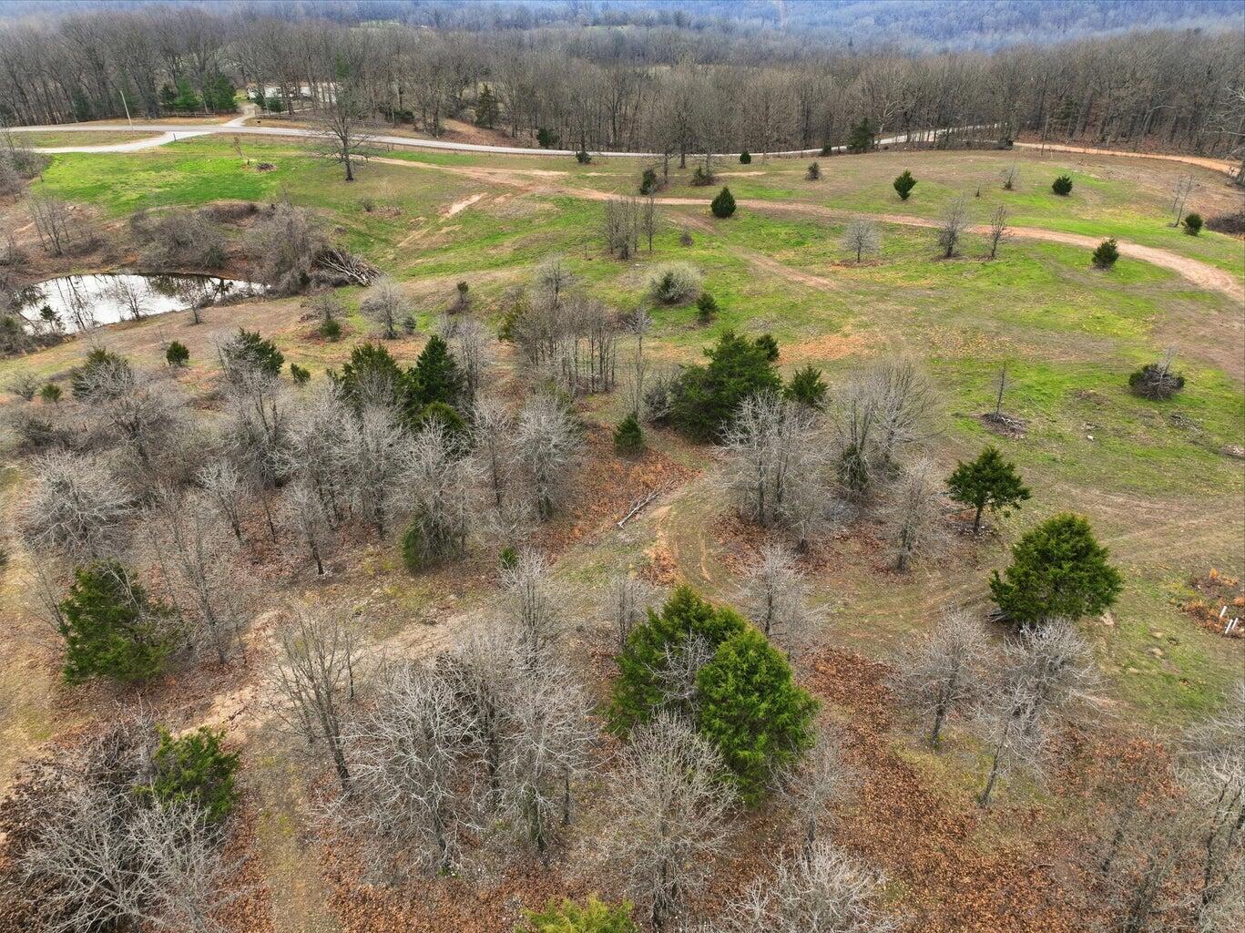 Photo 5 - Land for sale – 000  Highway U   Willow Springs, MO