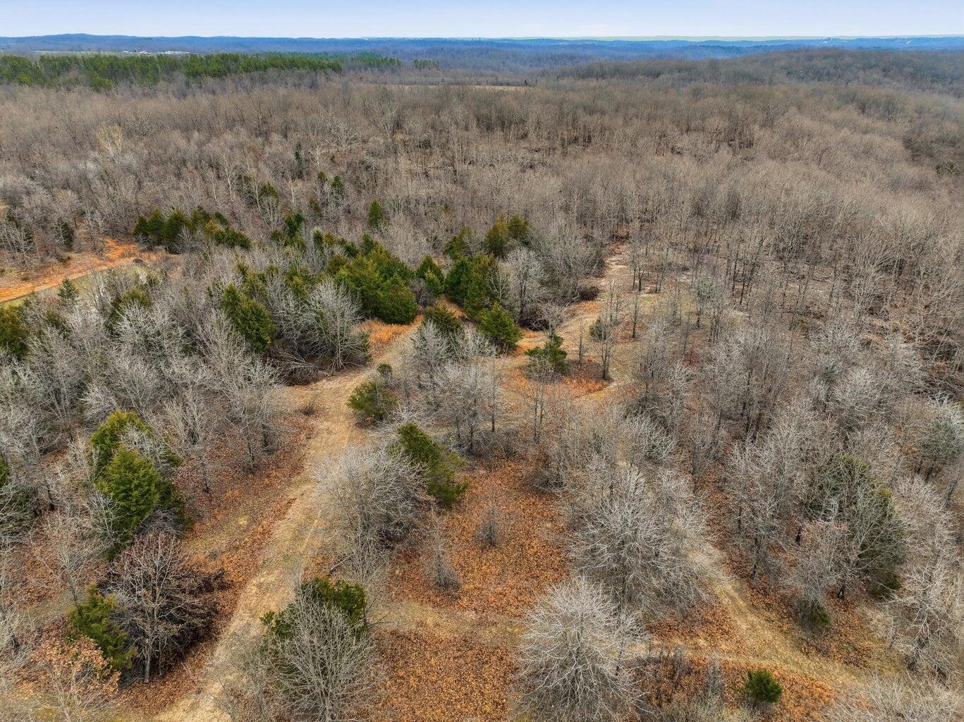 Photo 7 - Land for sale – 000  Highway U   Willow Springs, MO