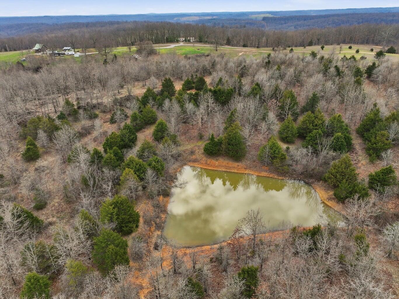 Photo 20 - Land for sale – 000  Highway U   Willow Springs, MO