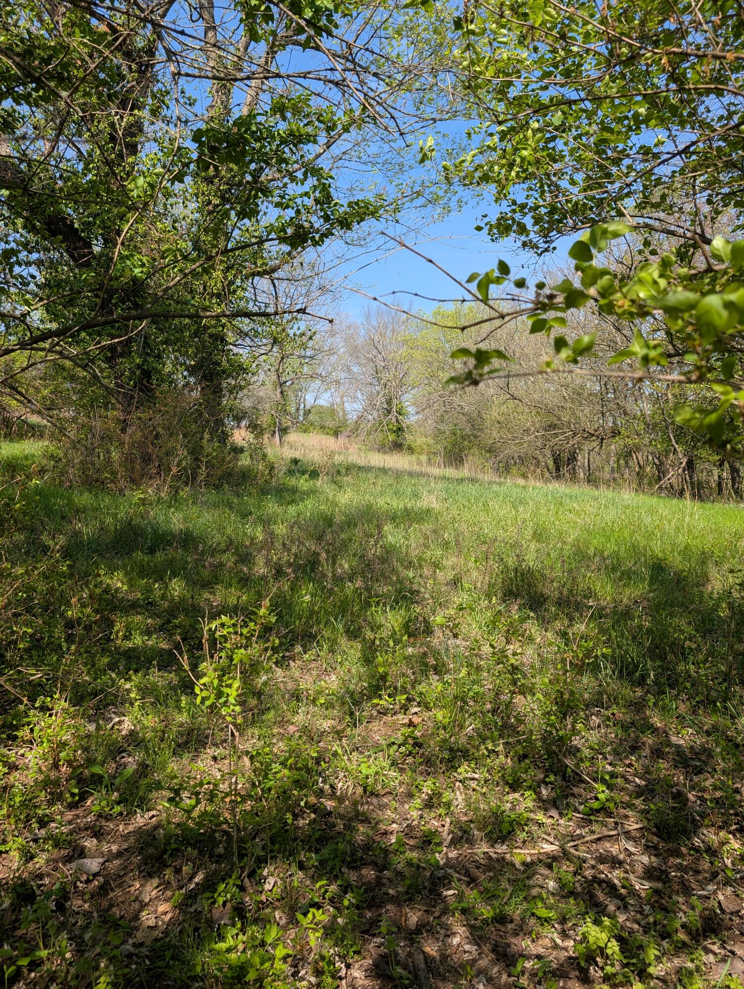 Photo 22 - Land for sale – 3624 N Farm Road 147   Springfield, MO