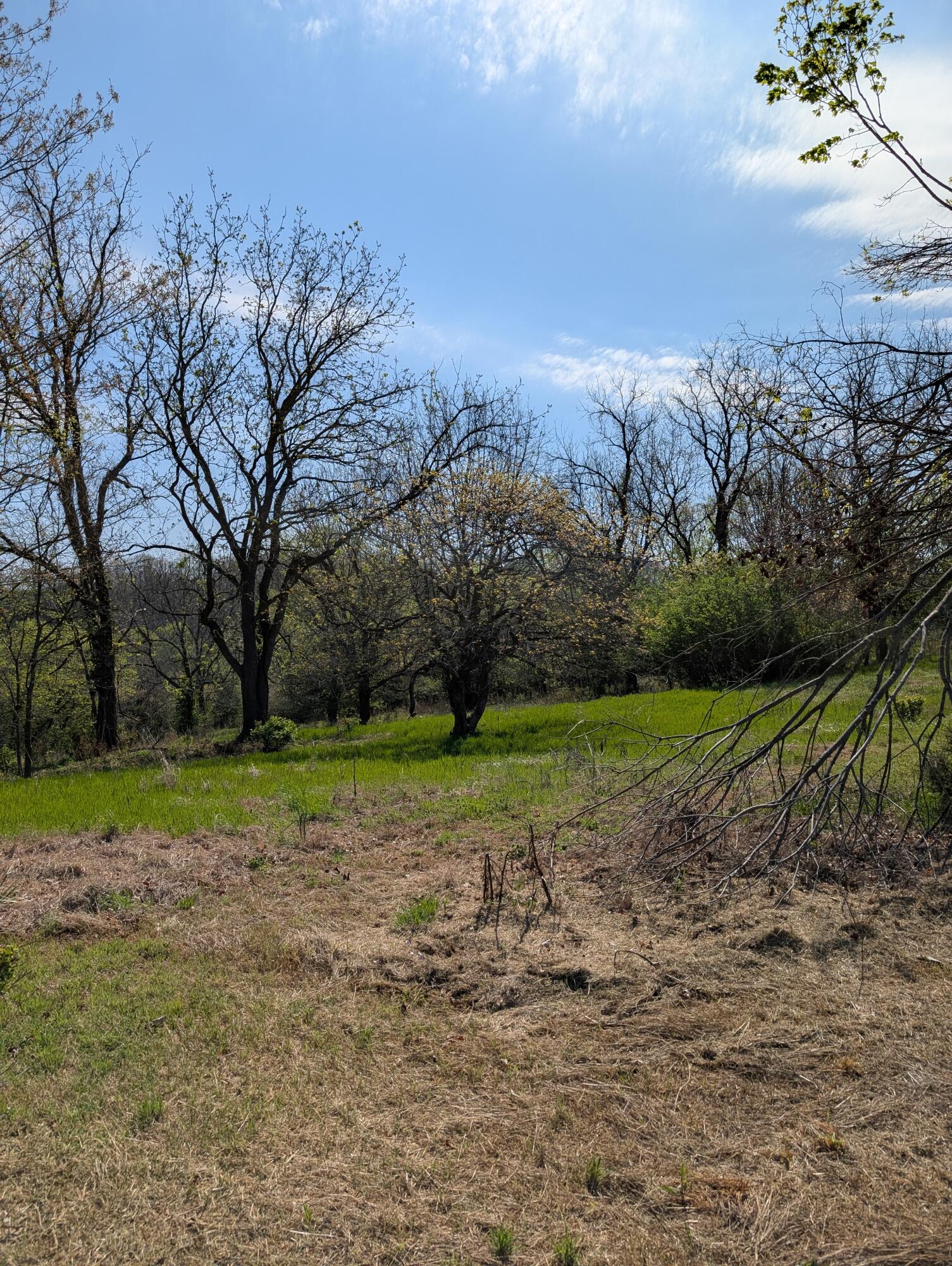 Photo 8 - Land for sale – 3624 N Farm Road 147   Springfield, MO