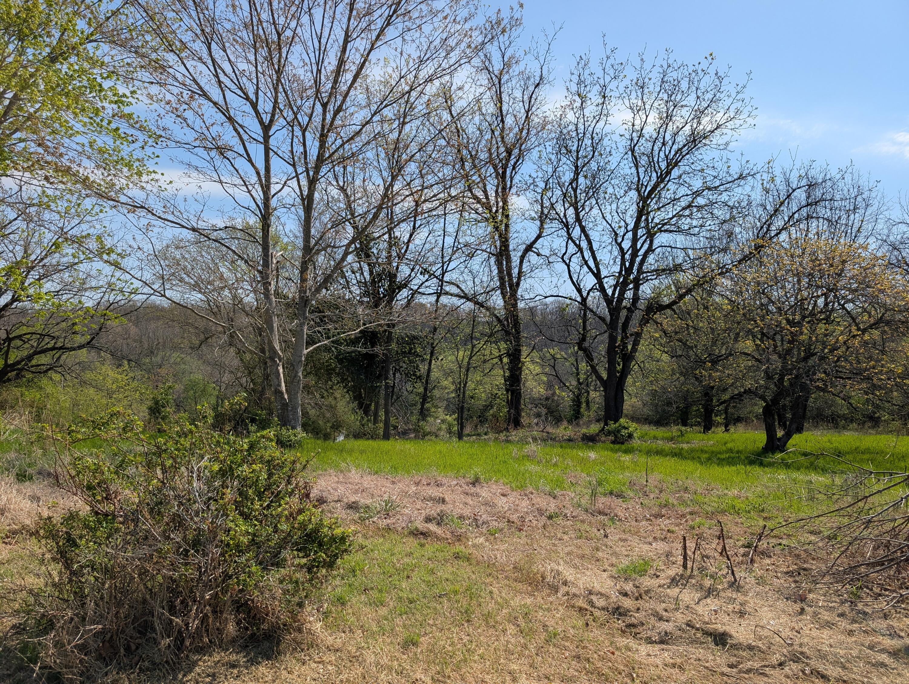 Photo 10 - Land for sale – 3624 N Farm Road 147   Springfield, MO