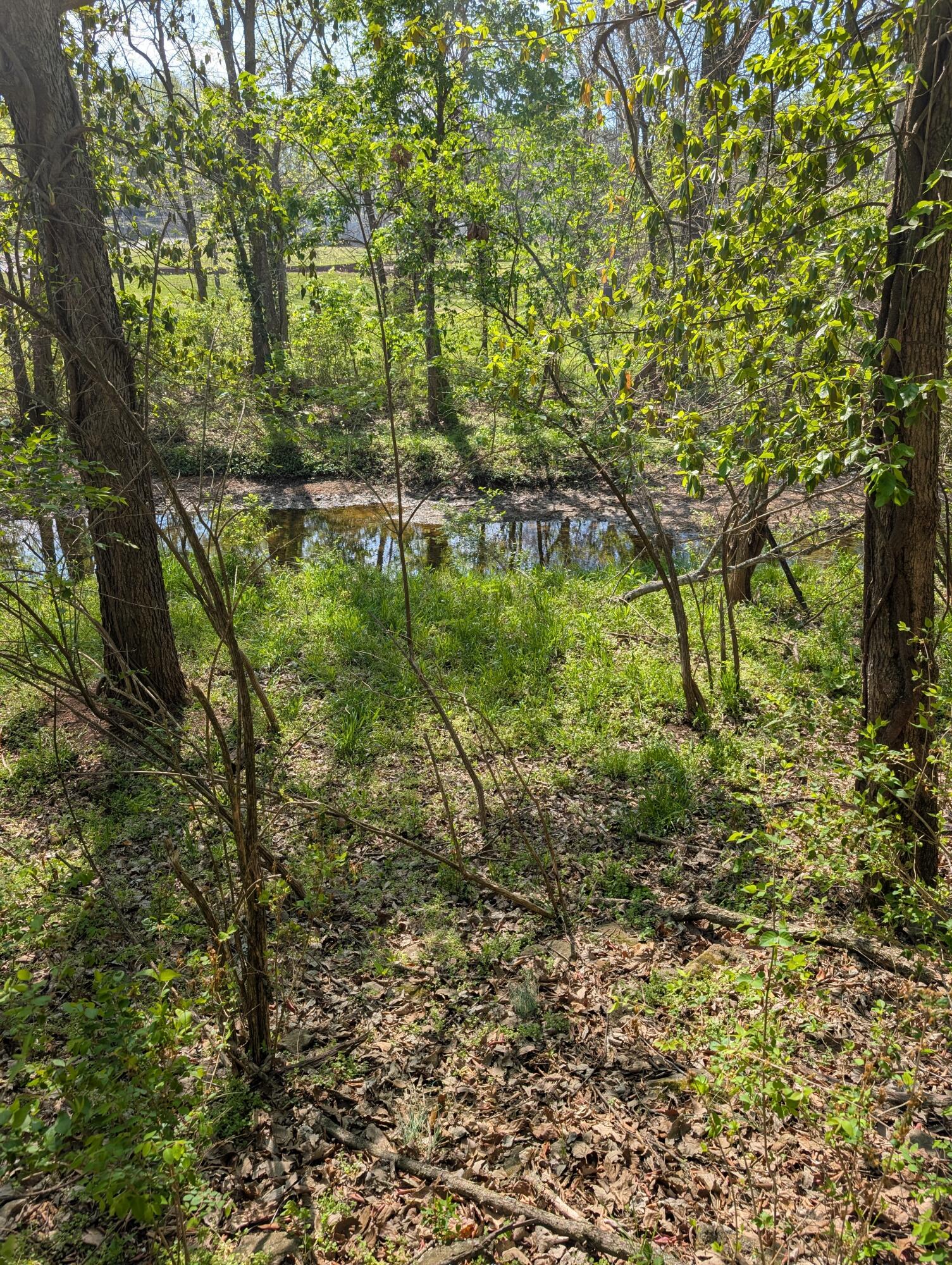 Photo 19 - Land for sale – 3624 N Farm Road 147   Springfield, MO