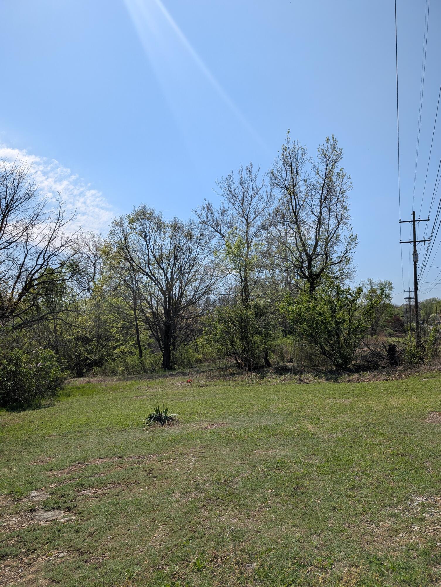 Photo 14 - Land for sale – 3624 N Farm Road 147   Springfield, MO
