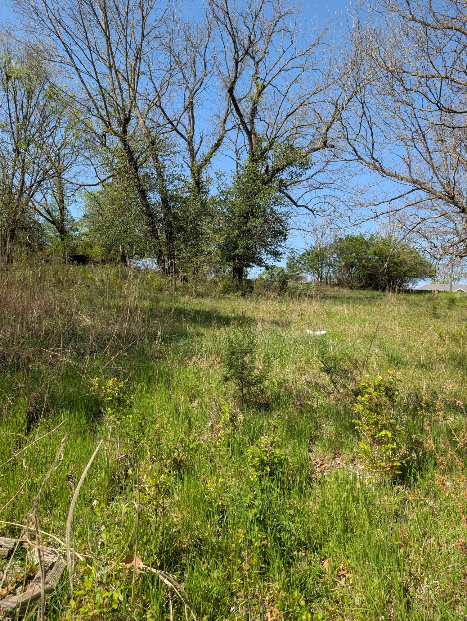 Photo 16 - Land for sale – 3624 N Farm Road 147   Springfield, MO