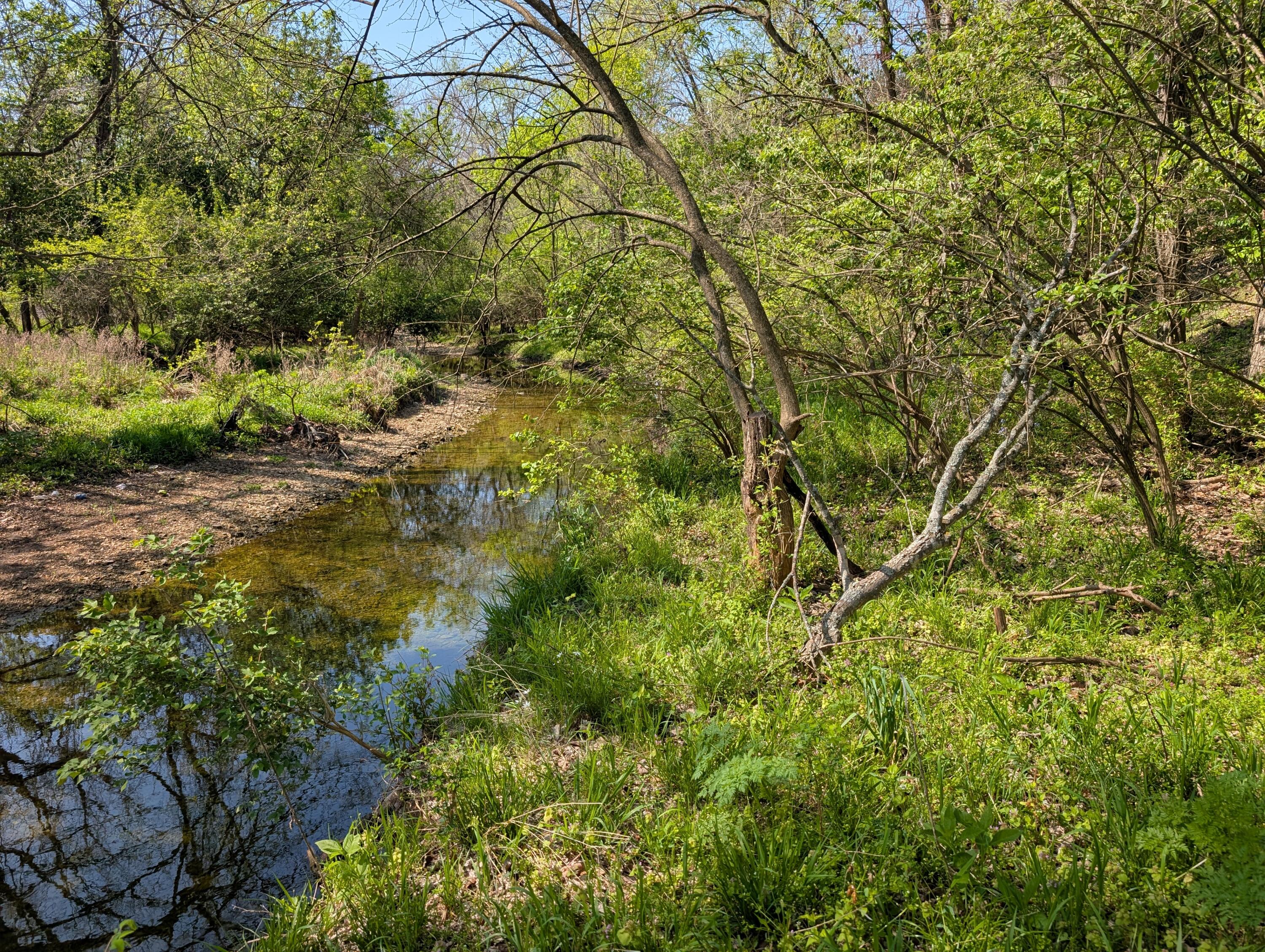 Photo 21 - Land for sale – 3624 N Farm Road 147   Springfield, MO